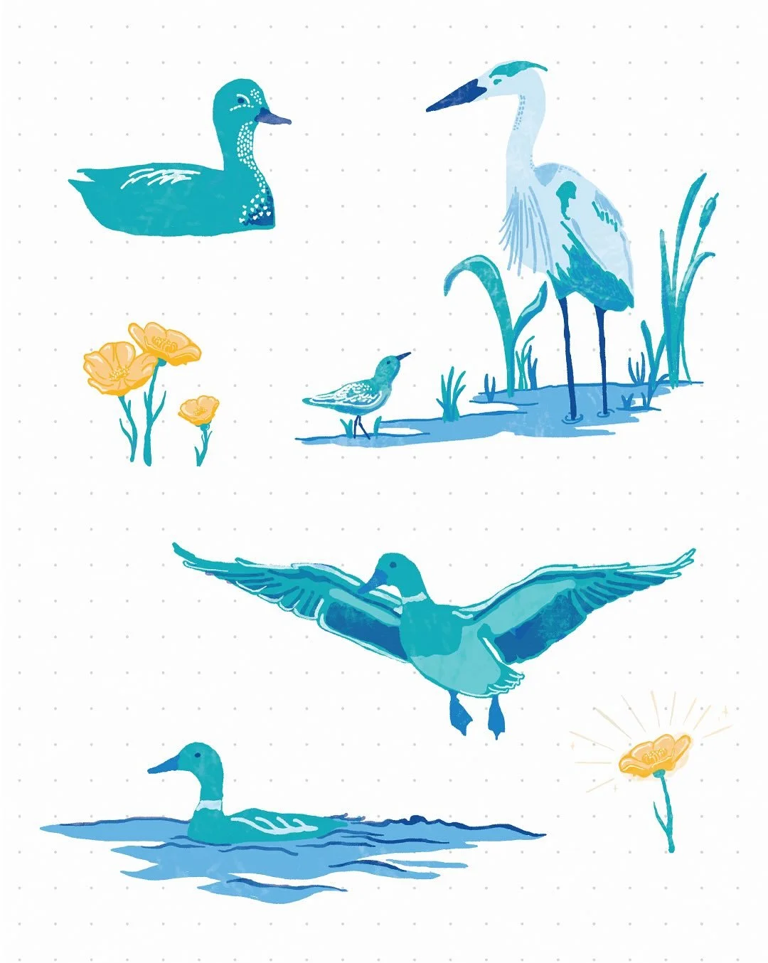 I treated myself to some quality water time this summer and it truly makes you slow down, appreciating all the tiny habitats that are on and below the surface. Life ebbs and flows and we have the privilege (and sorrow) of witnessing it 🫶🏻🛶