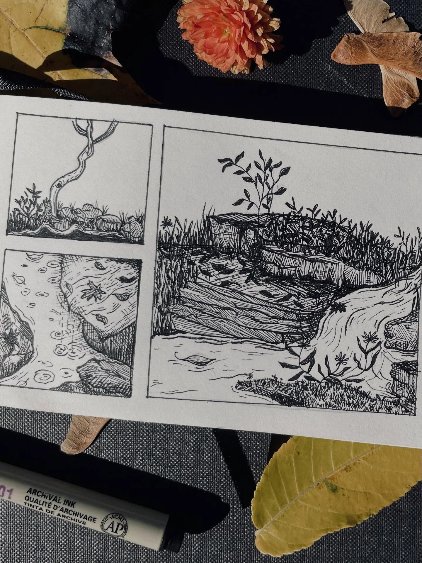 Some stills from my best thinking spot 💭