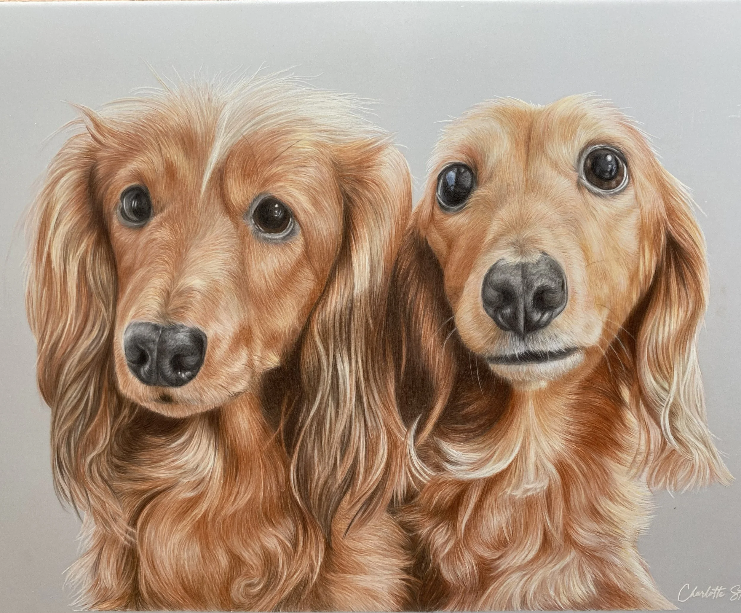 A painting of two golden retriever dogs with long, wavy fur and expressive eyes, set against a plain background.