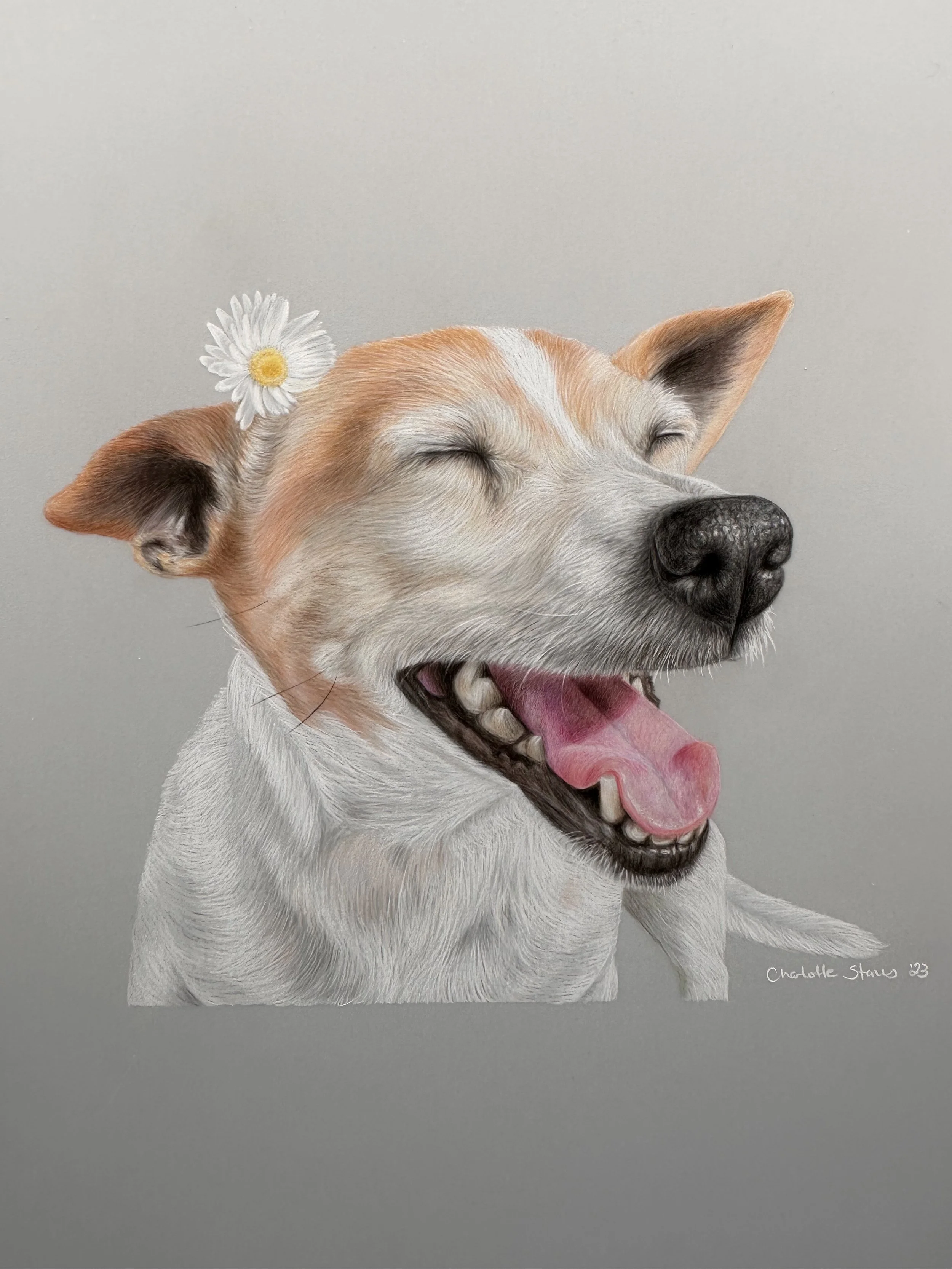 Drawing of a happy dog with eyes closed, tongue out, and a flower on its head, set against a neutral background.