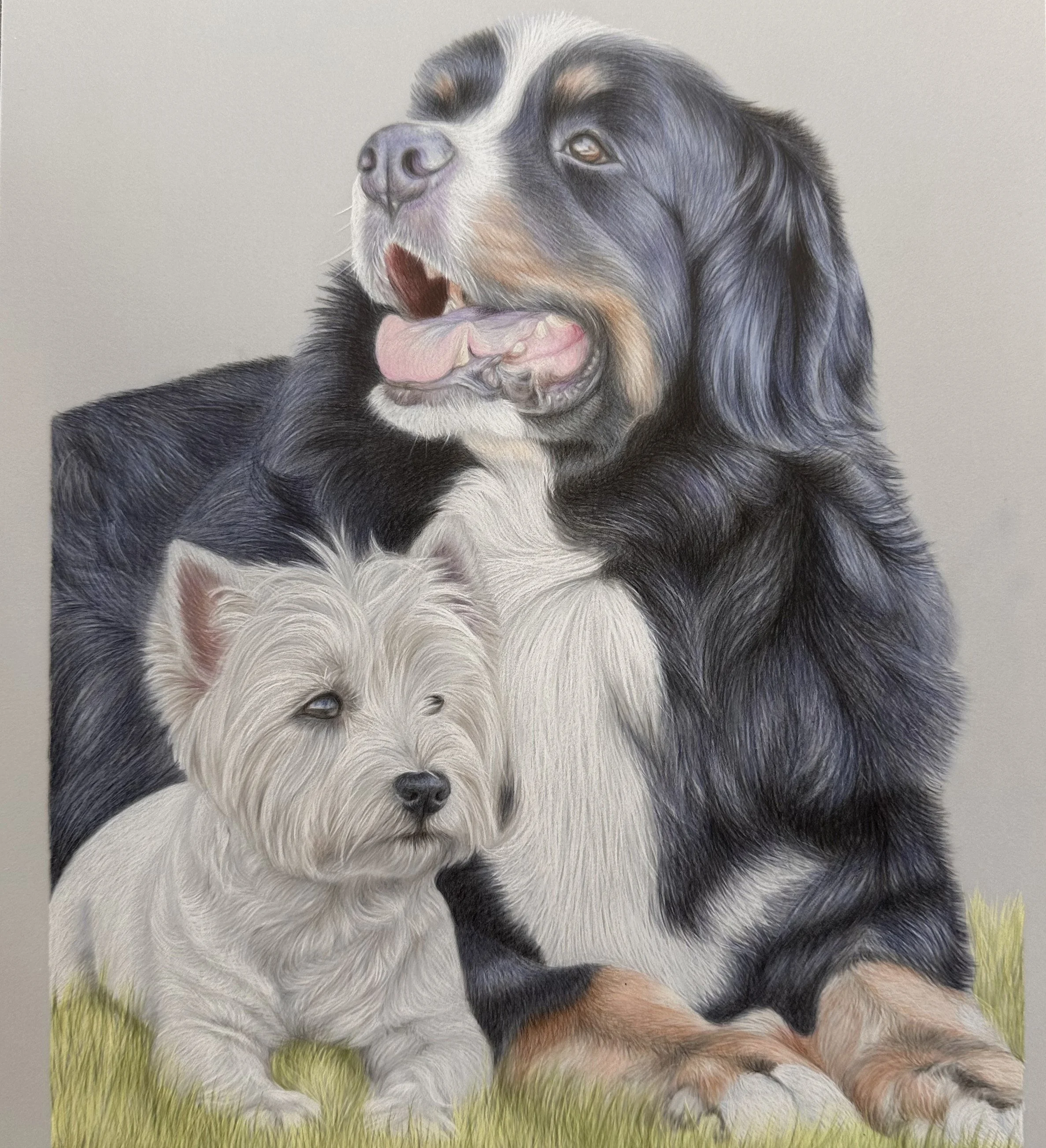 A painting of two dogs, a large Bernese Mountain Dog and a small West Highland White Terrier, sitting on grass.