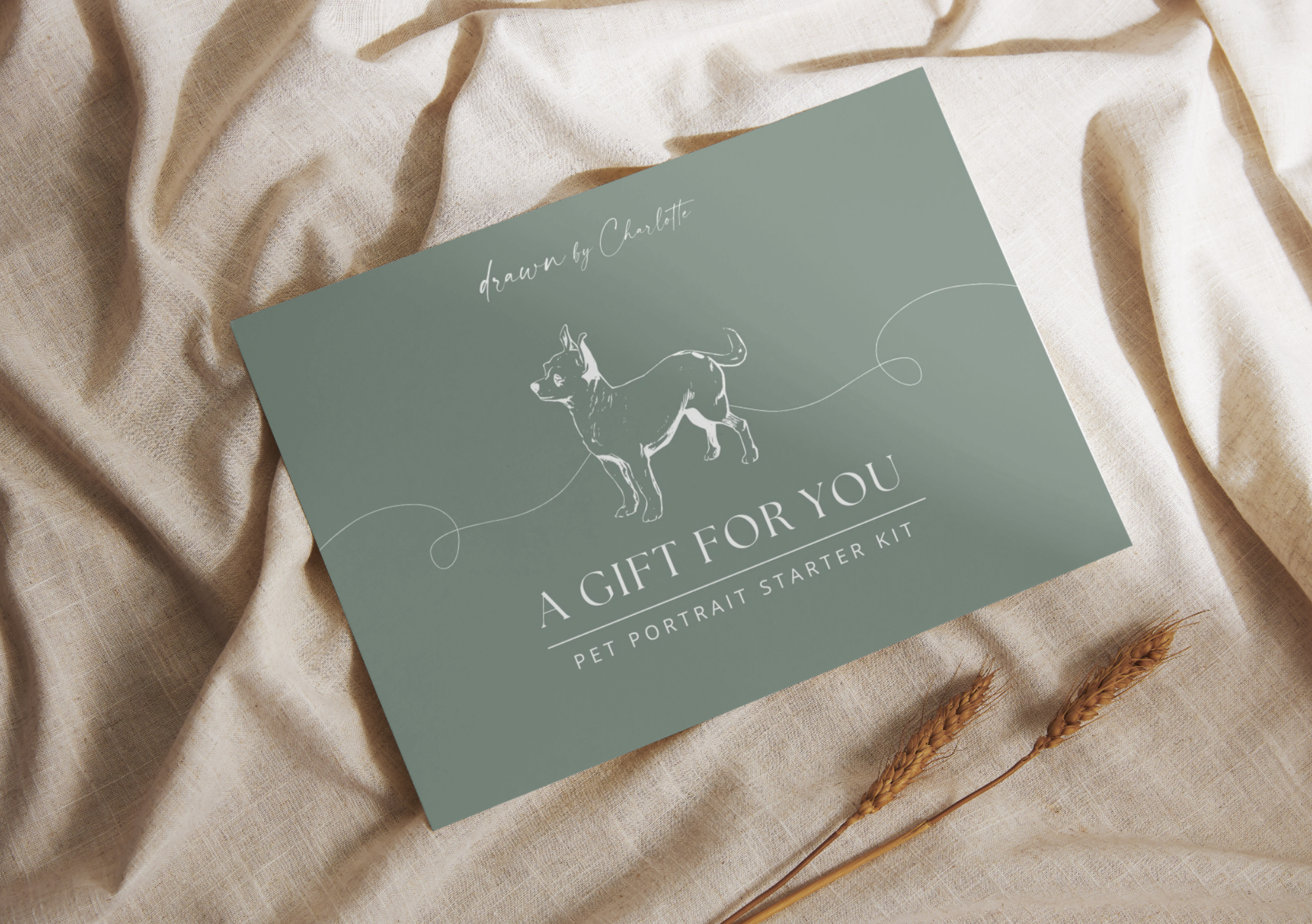 Pet Portrait Starter Kit - drawing course voucher