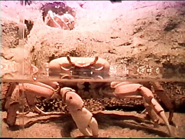 AQUARIUM 2-2.jpg