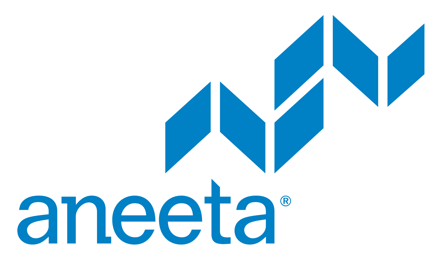 The Aneta logo featuring a blue geometric design above the word 'aneta' in blue lowercase letters.