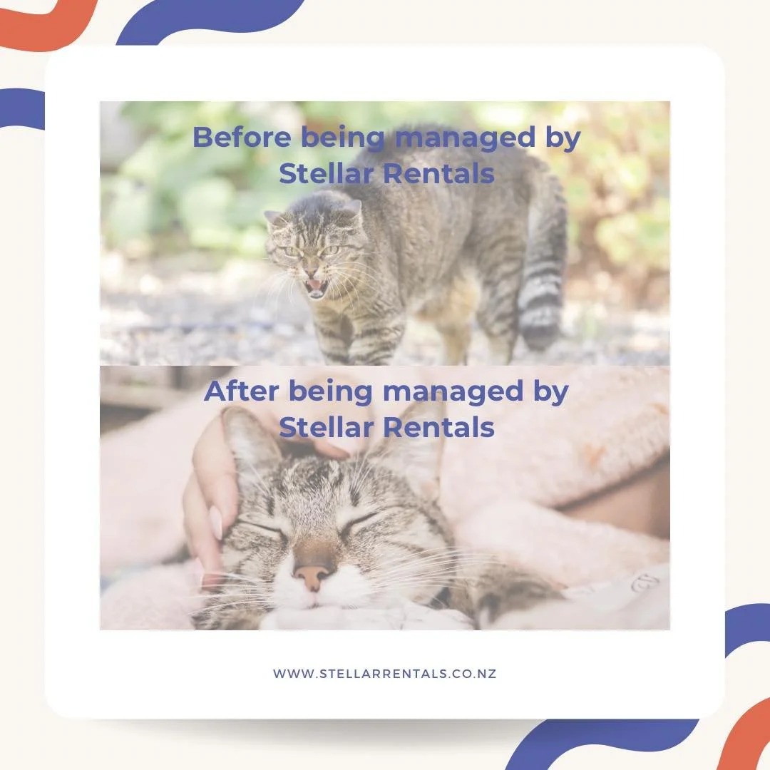 Day in the Life: Self- Managed vs Professionally Managed
Why juggle the stress when you can sit back and relax? 🛋️✨
Get 12 WEEKS FREE property Management 🎉
Ongoing rate: just 7.0% + GST

Get in touch today! 
📞 022 354 2739
📧 team@stellarrentals.c