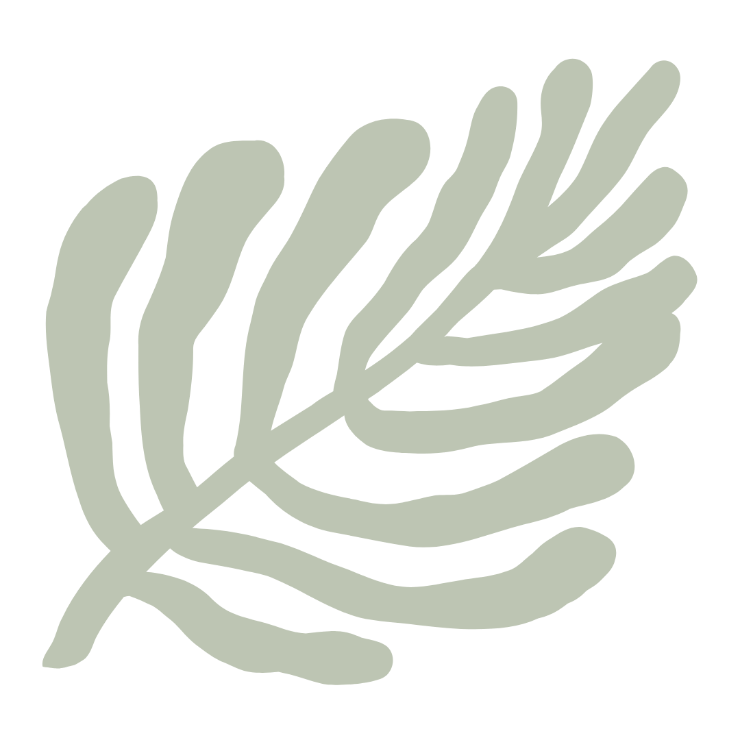 A stylized, minimalist illustration of a fern leaf in light green color on a black background.
