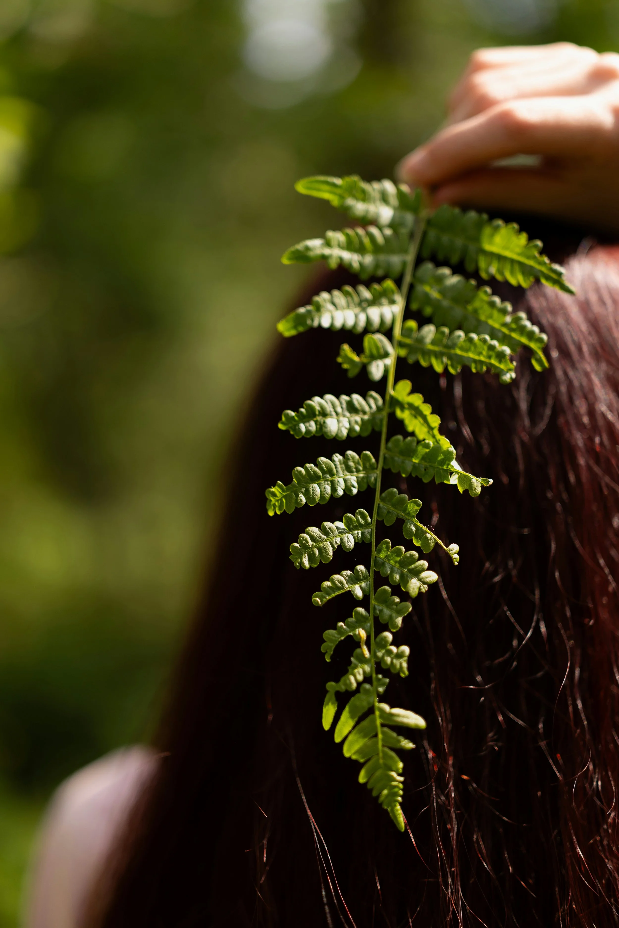 Close-up of a green fern leaf being held by a person's hand against a blurred natural outdoor background.