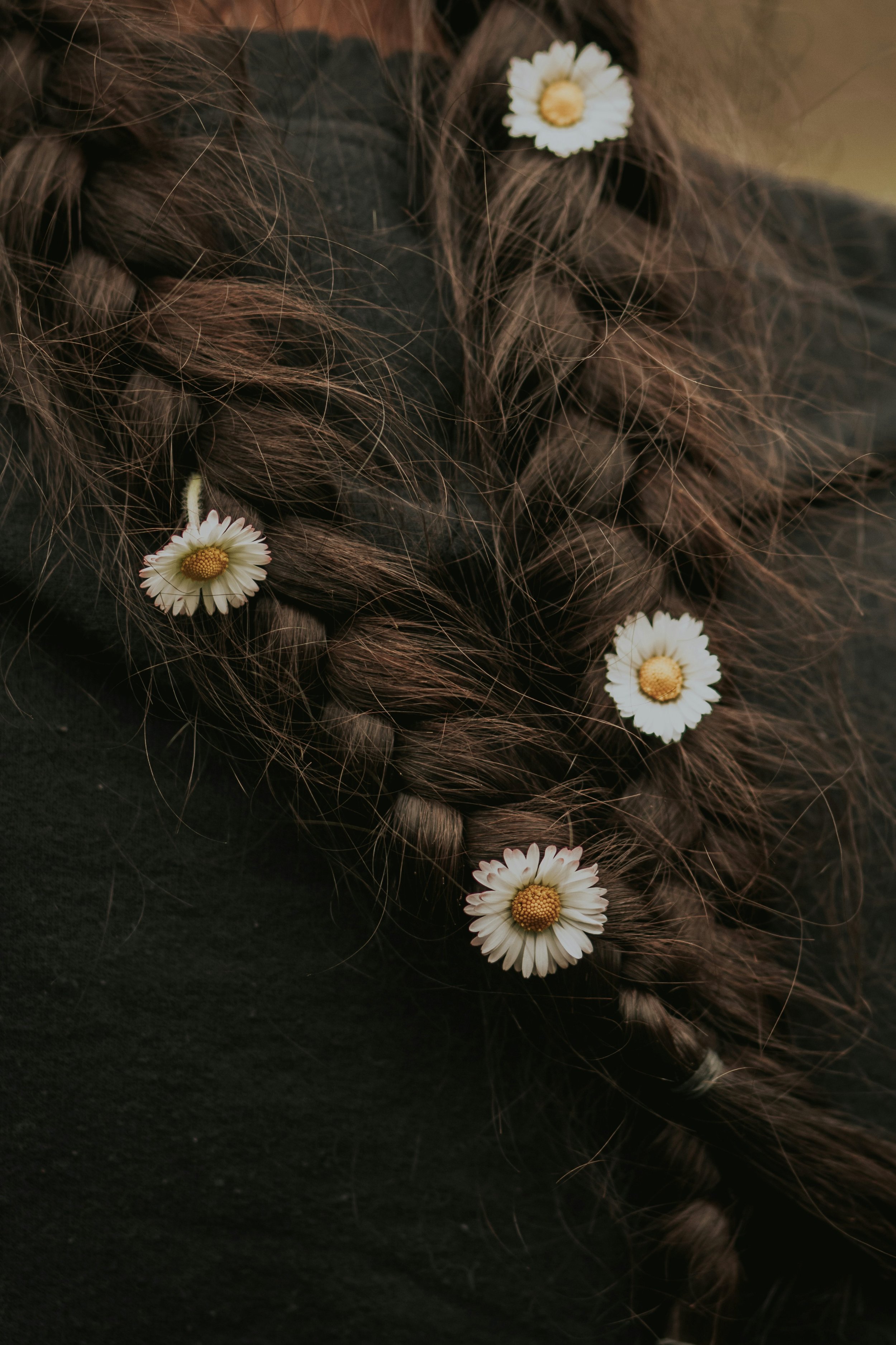 Close-up of brown braid hair adorned with small white daisies with yellow centers on a dark background.