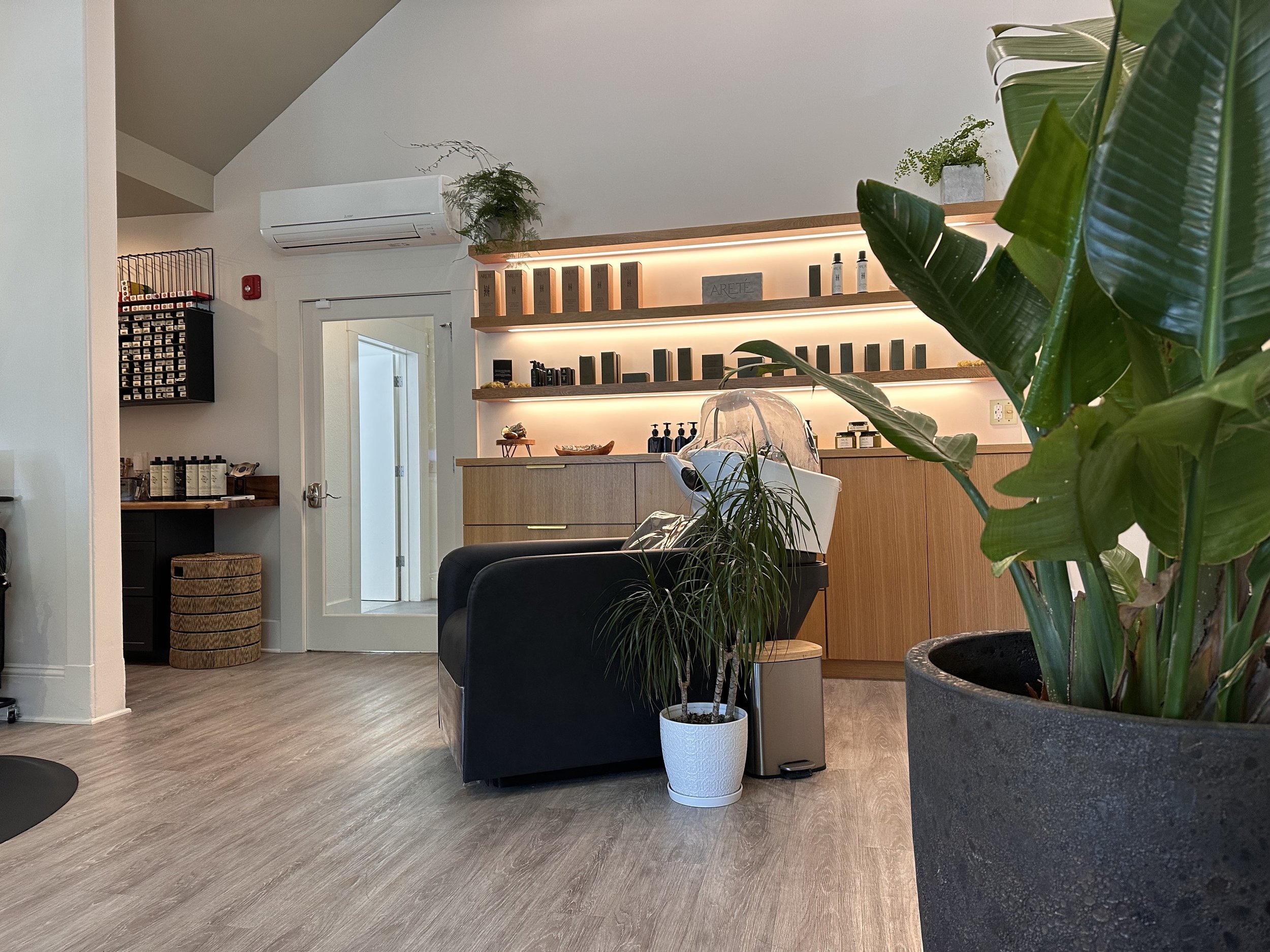 Interior of a modern establishment with a counter, shelves with products, large potted plants, and minimalist decor.