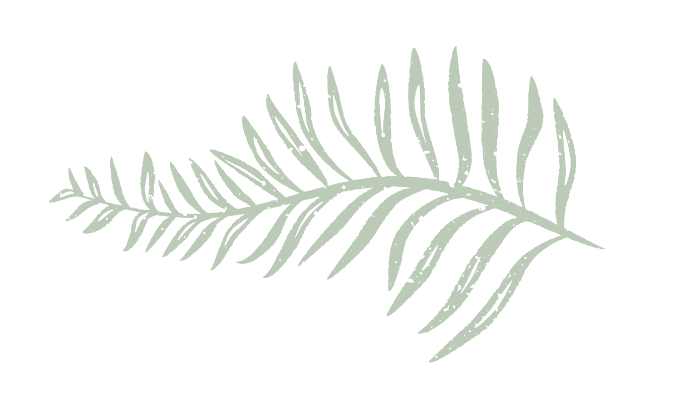 A digital illustration of a light green palm leaf on a black background.