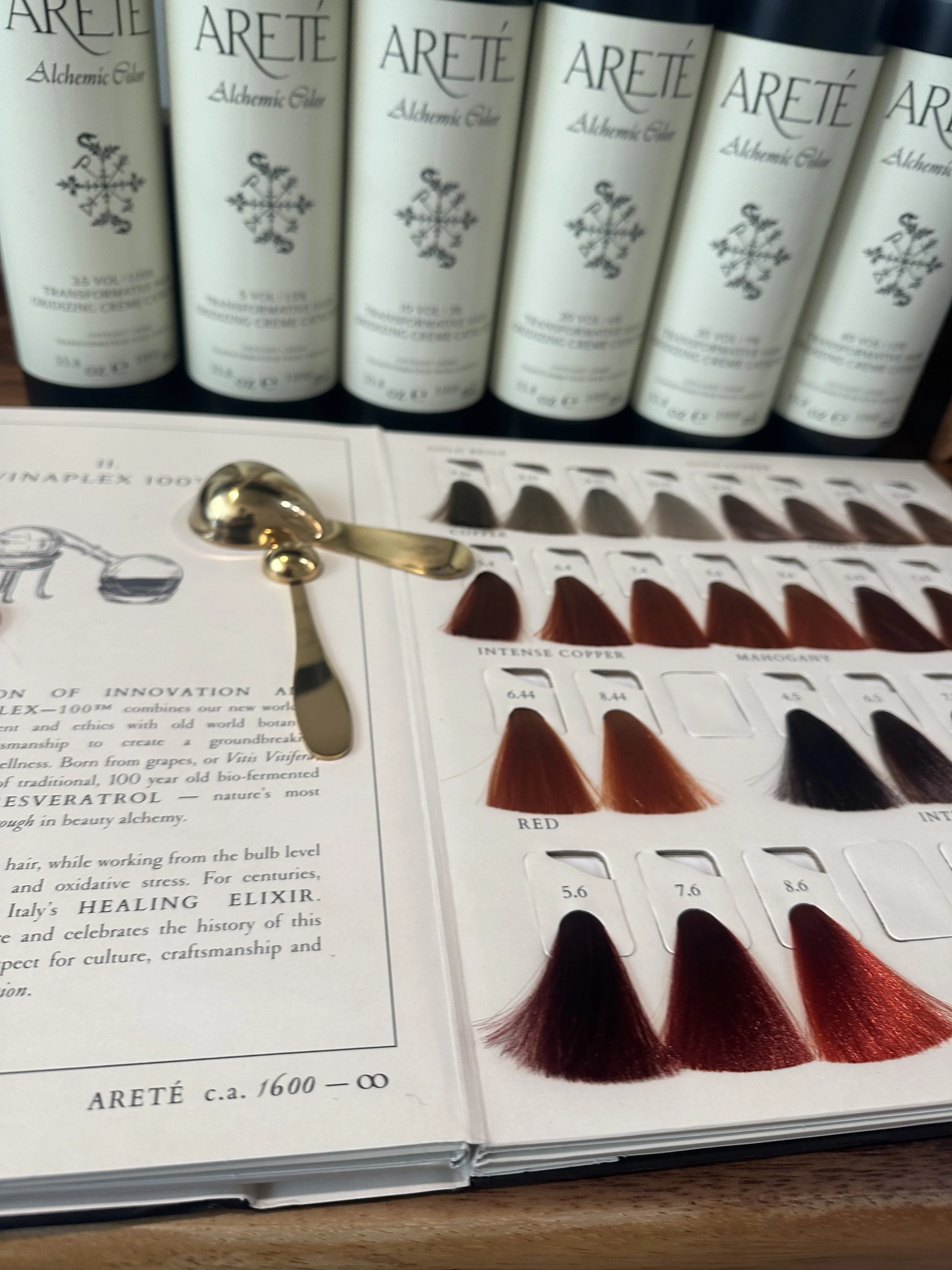 Color samples of hair dye swatches in shades of red, brown, and black, displayed on a guide within a book.