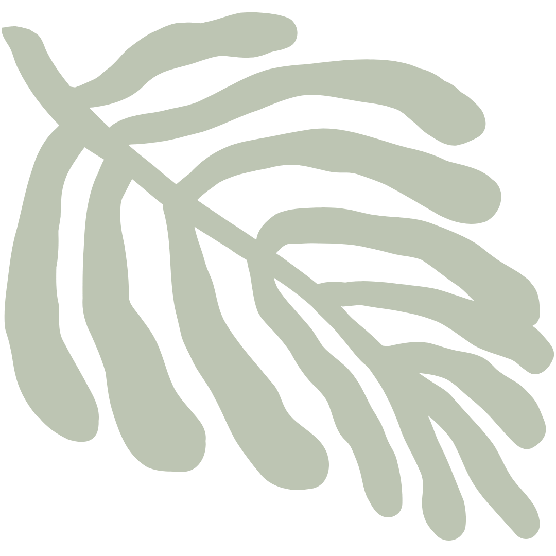 Illustration of a greenish-gray tropical leaf with elongated lobes on a black background.
