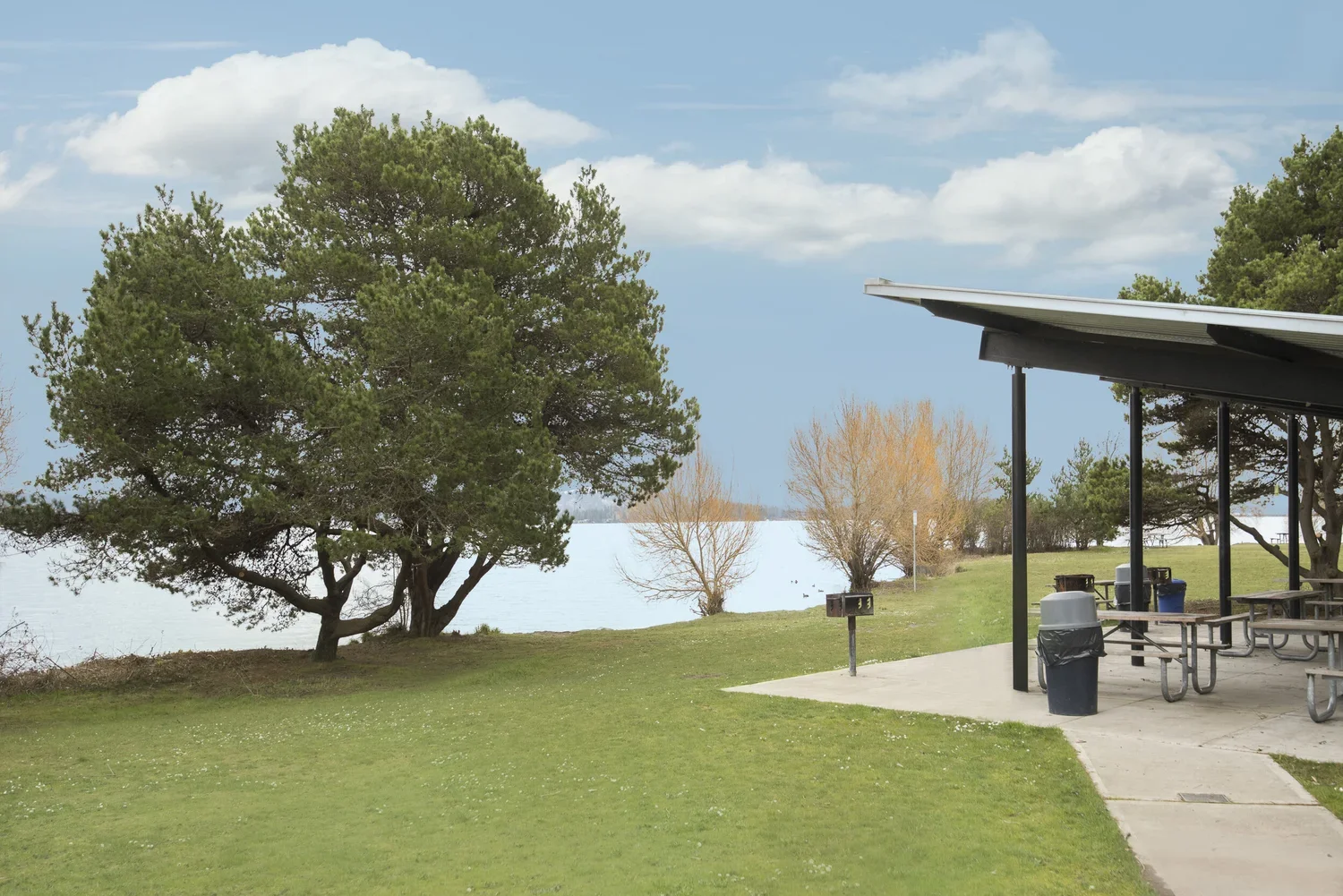 MagnusonPark3.webp