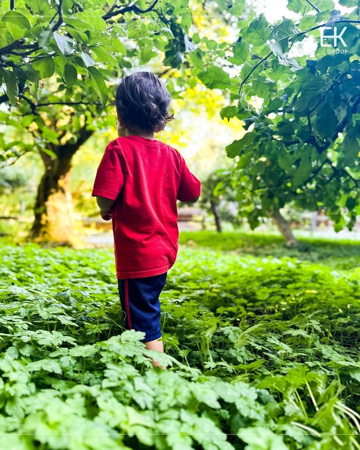 Known as the &ldquo;New Year of the Trees,&rdquo; Tu B&rsquo;Shevat invites us to pause and notice the quiet renewal taking shape around us. From the roots beneath our feet to the branches that reach skyward, each reminds us of resilience, possibilit