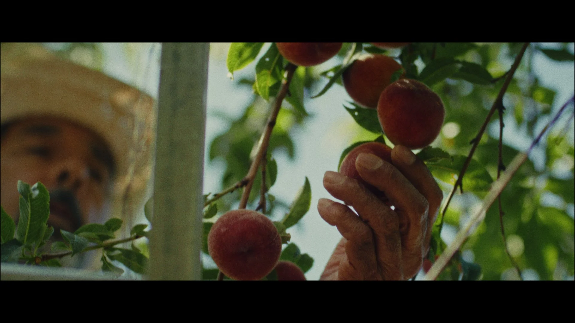 ExCon Day 2 Samples_1.46.1.jpg