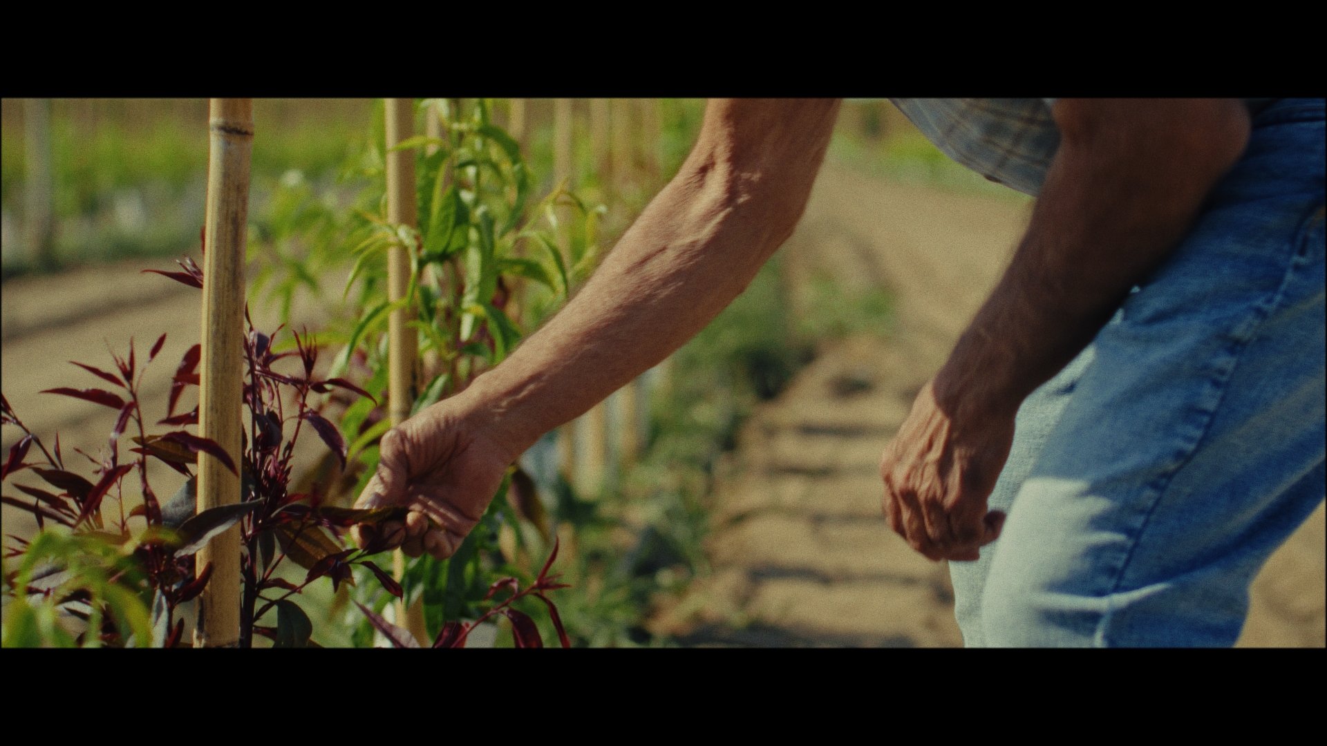 ExCon Day 2 Samples_1.34.1.jpg