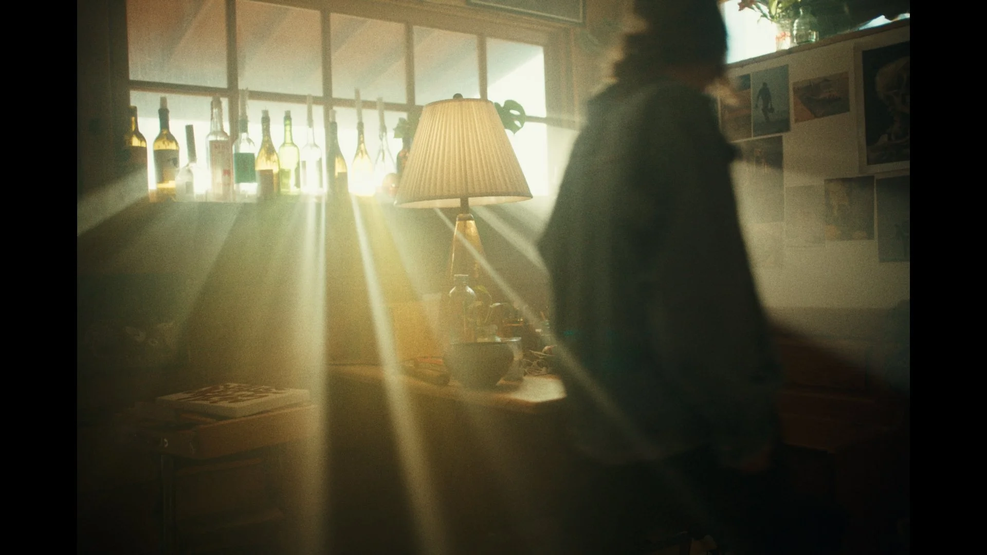 Buffalo Rodeo Stills_1.54.1.jpg