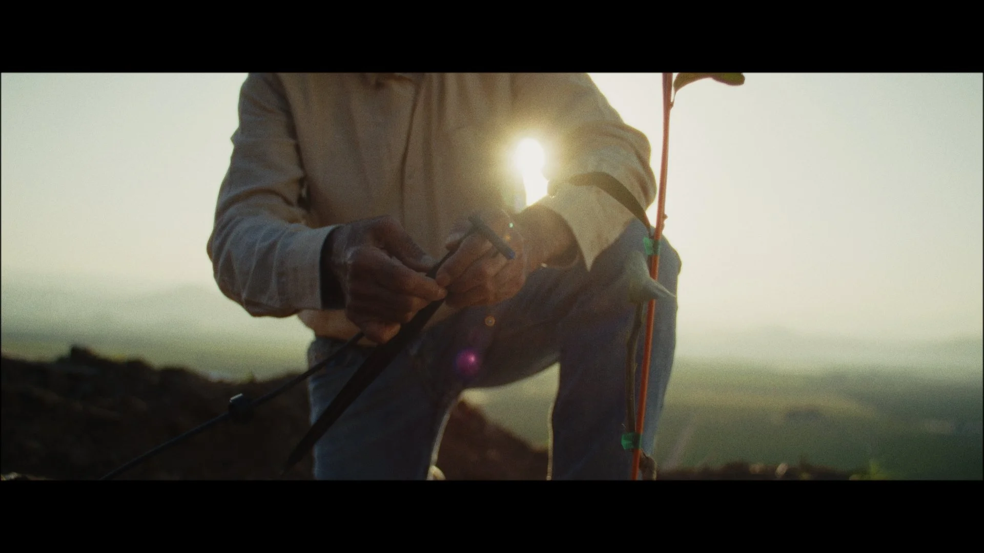 ExCon Day 2 Samples_1.19.1.jpg