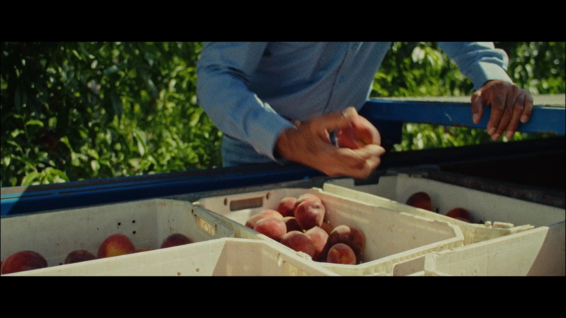 ExCon Day 2 Samples_1.40.1.jpg