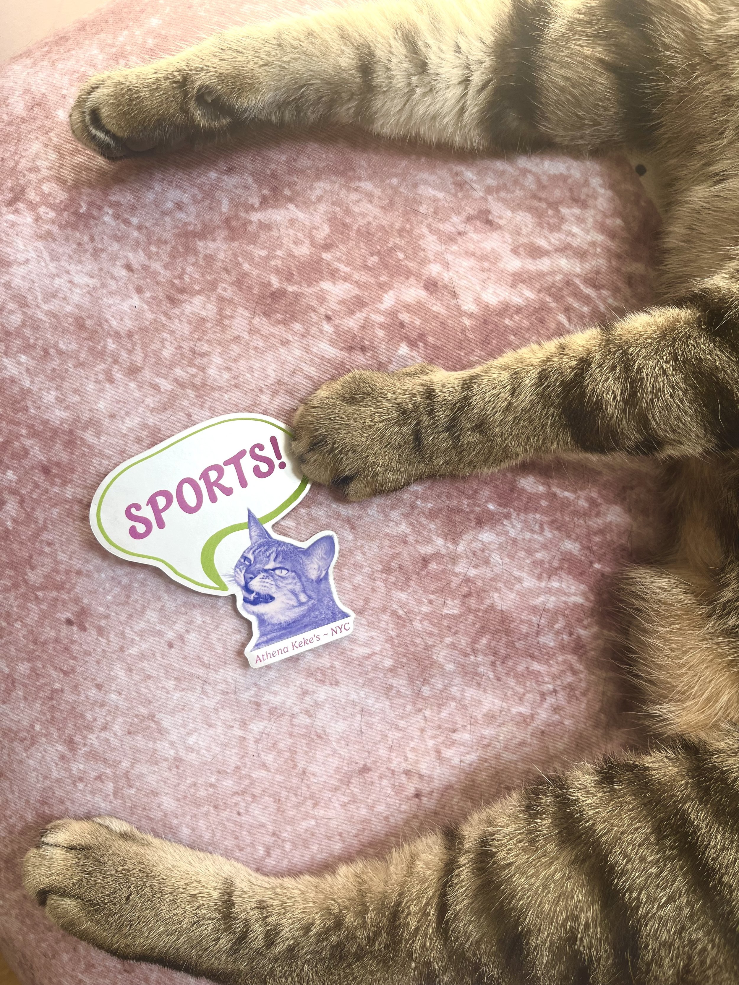 Sports! Sticker