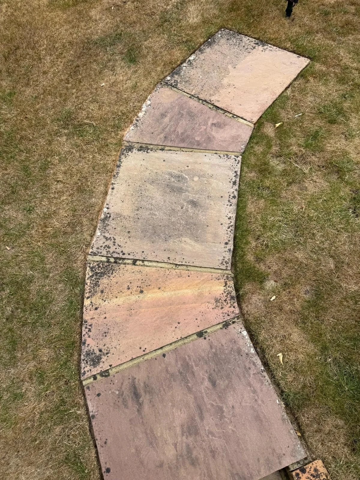 Sandstone garden path showing black spot and staining before patio cleaning.