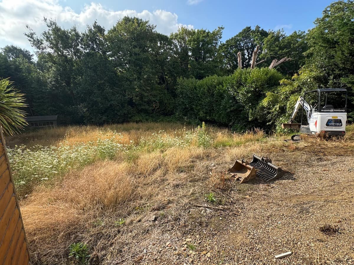 Garden before clearance, heavily overgrown with tall grass and weeds in Claygate, Surrey.