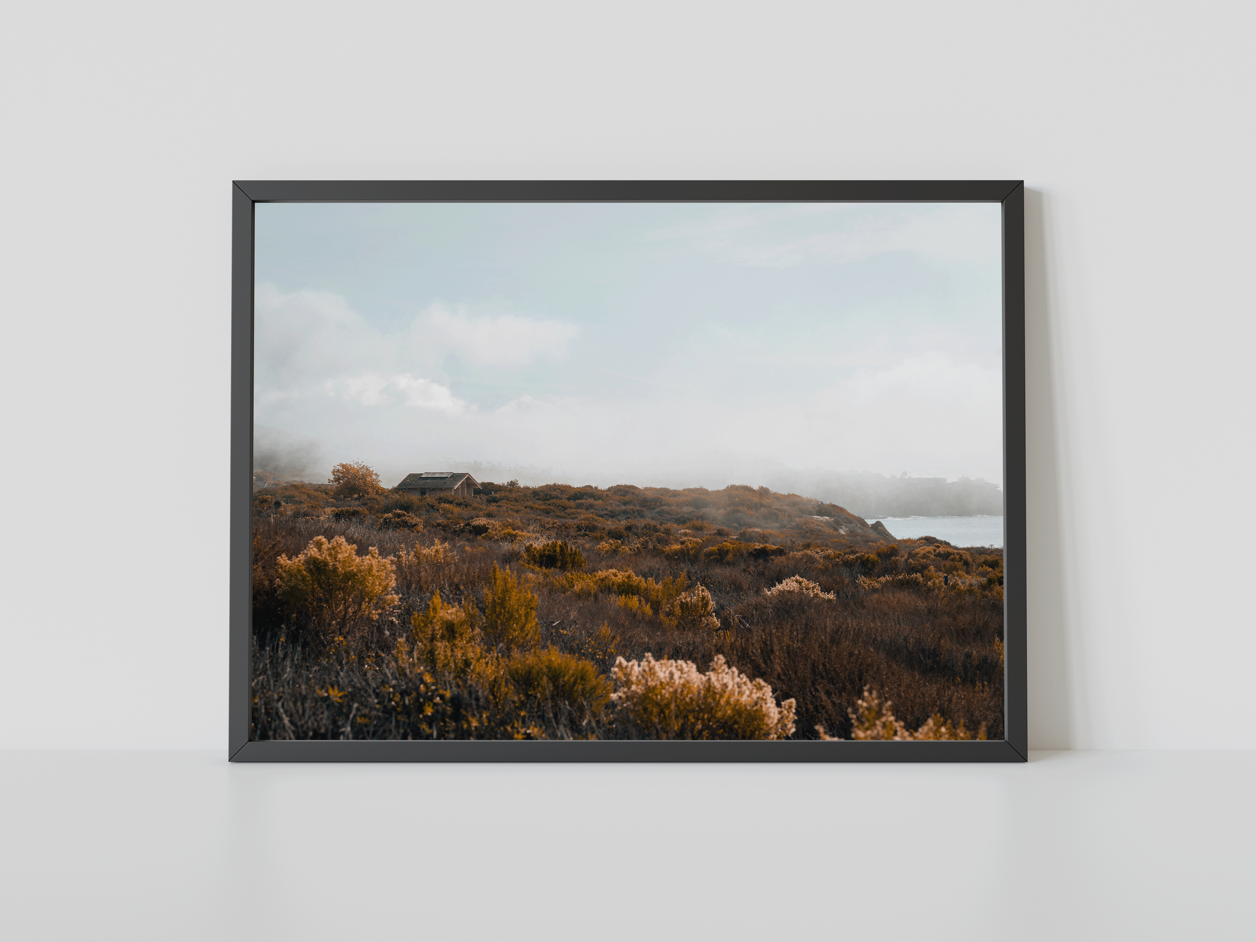 Print Web Gallery - 1.png