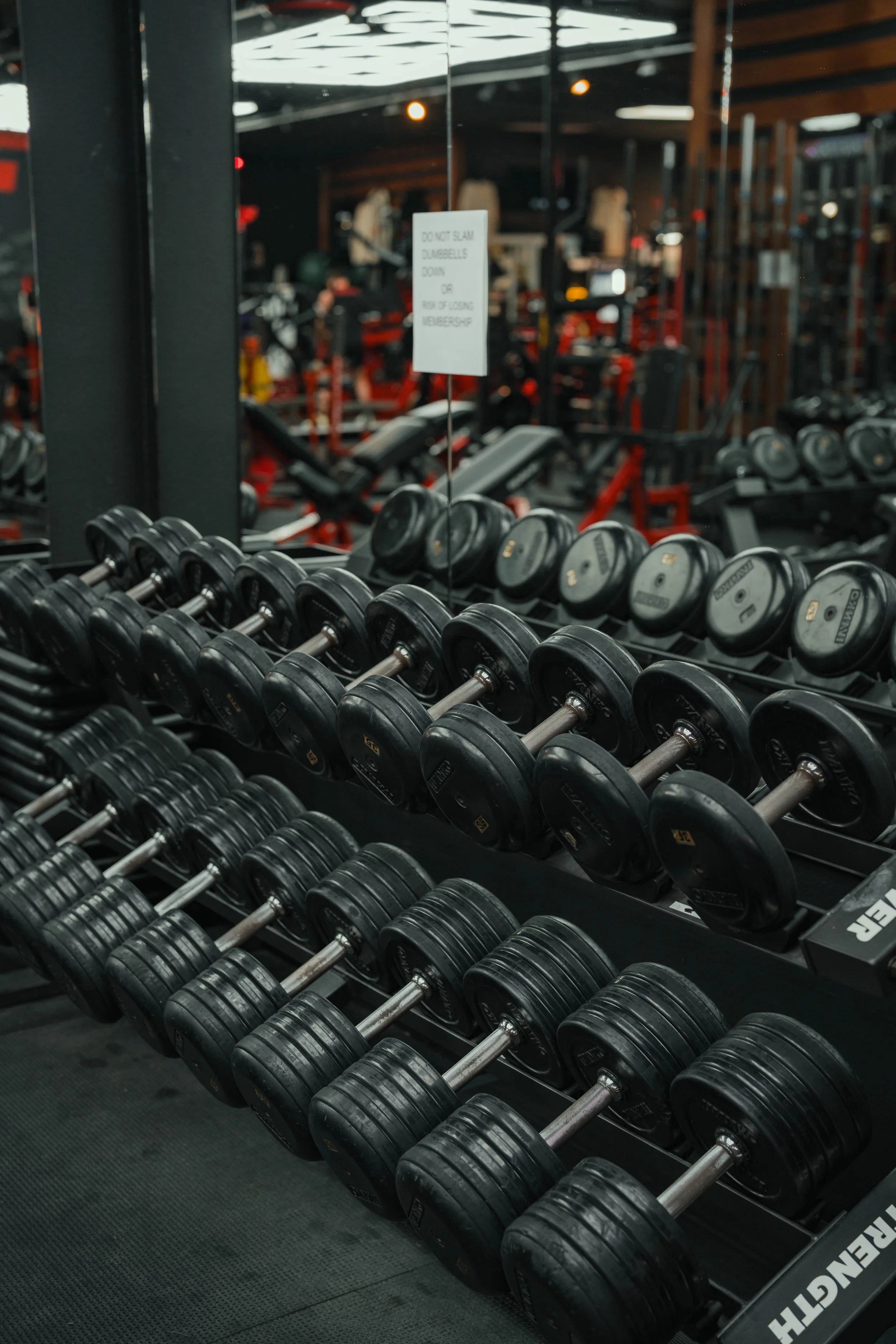 6-26-26_FLEX FITNESS-86.jpg
