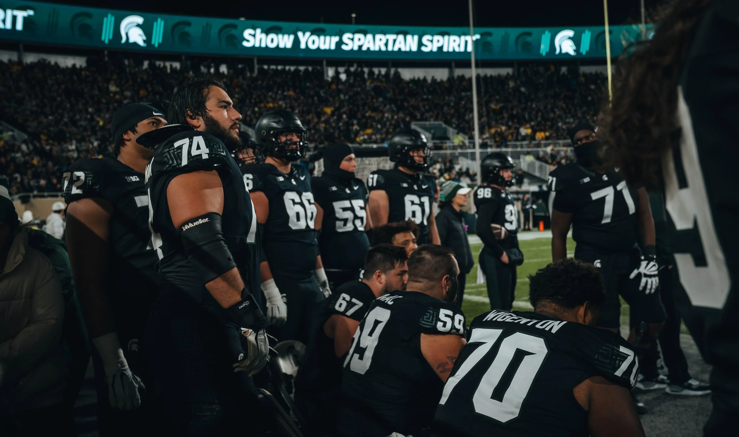 Woodshake Visuals-5.jpg