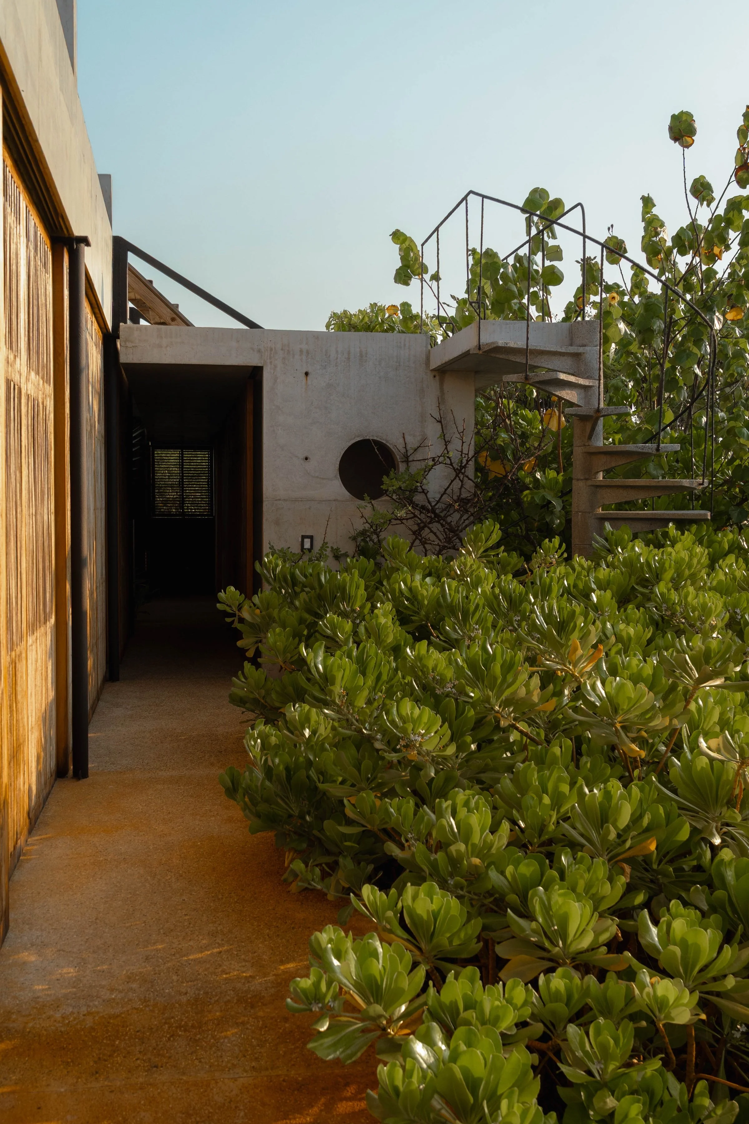 Goodday Productions - Casas María Matilda 101.jpg