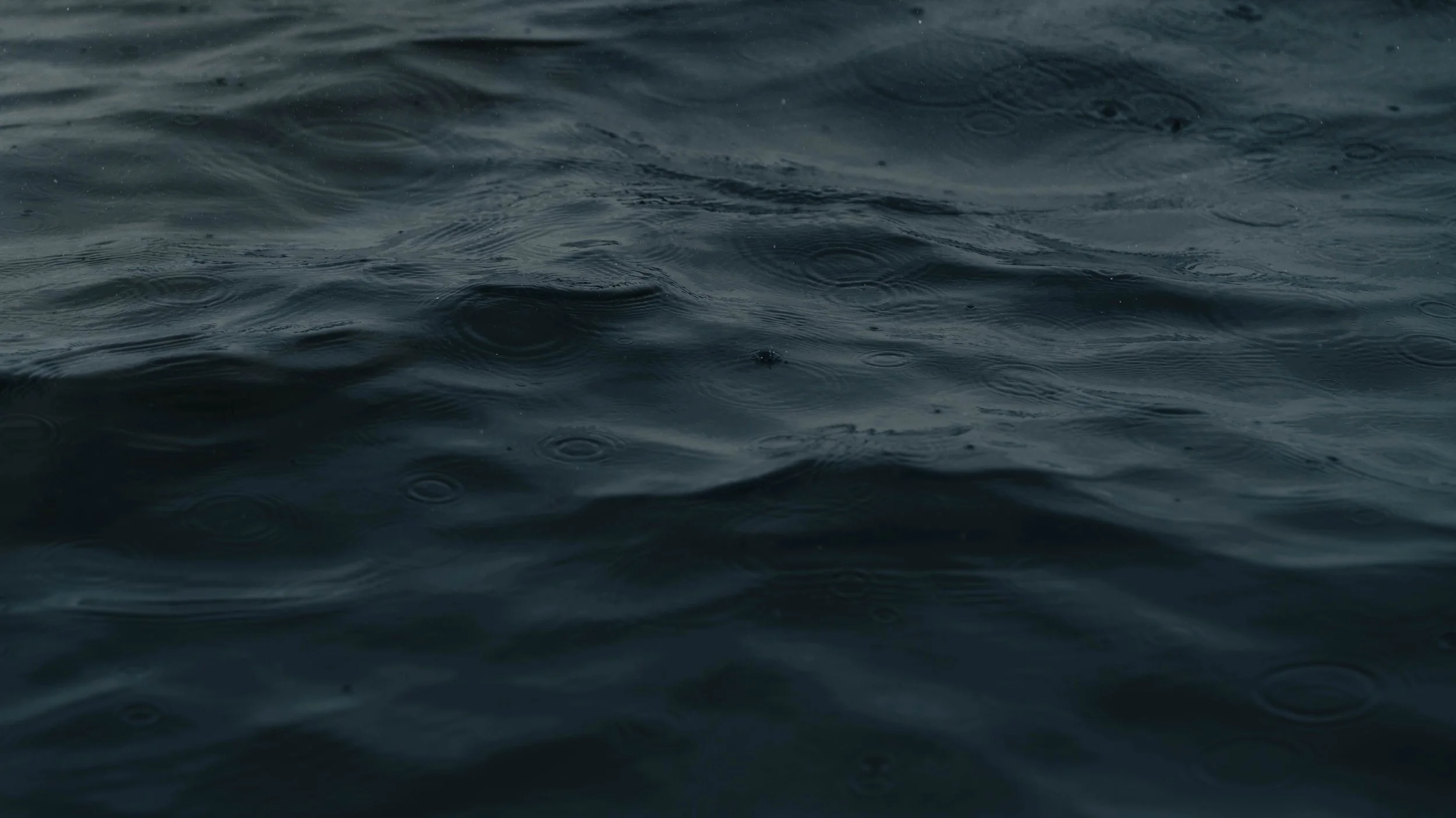 Dolphin Riding-12.jpg