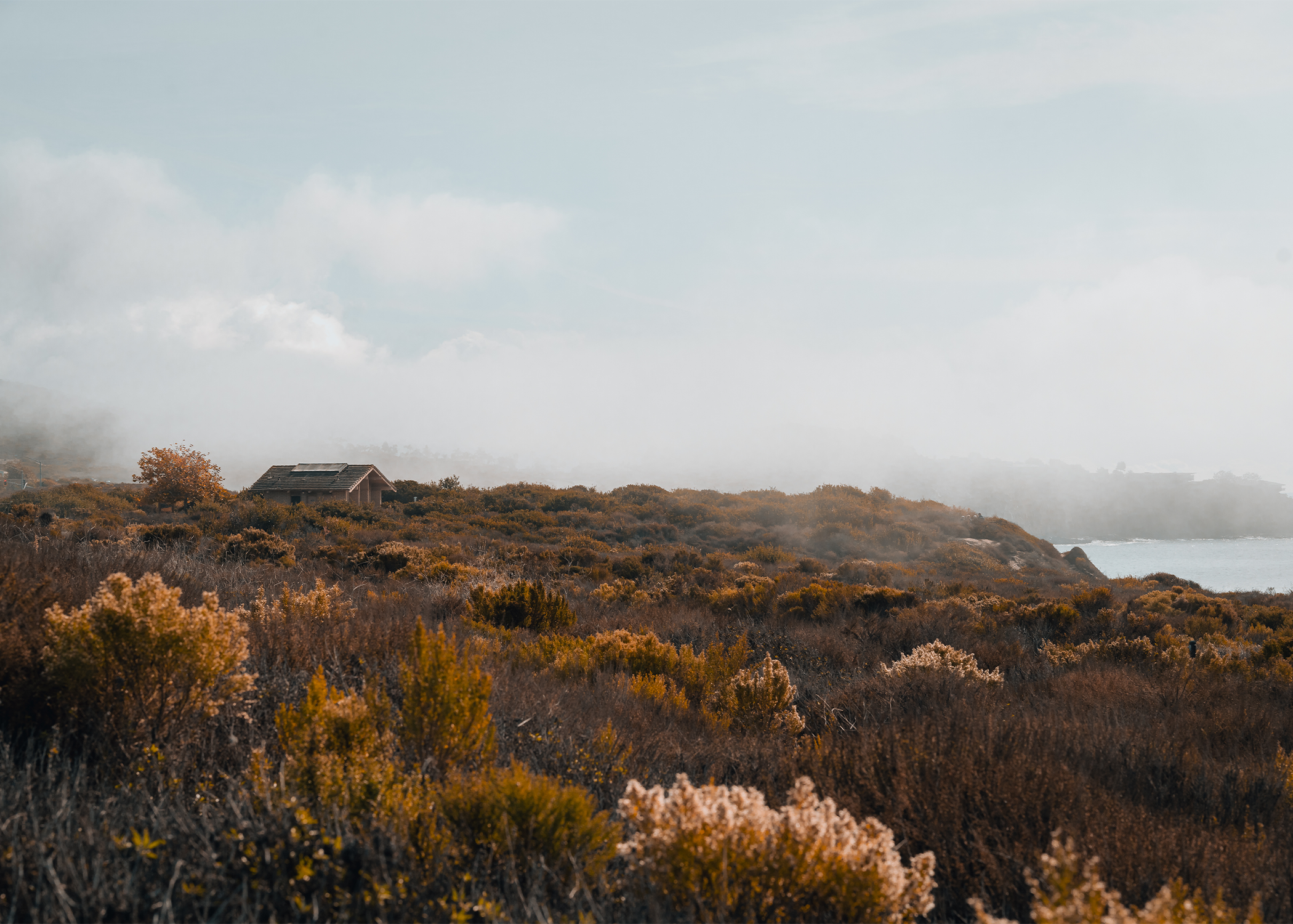 Muratani Photography Overview 1.png