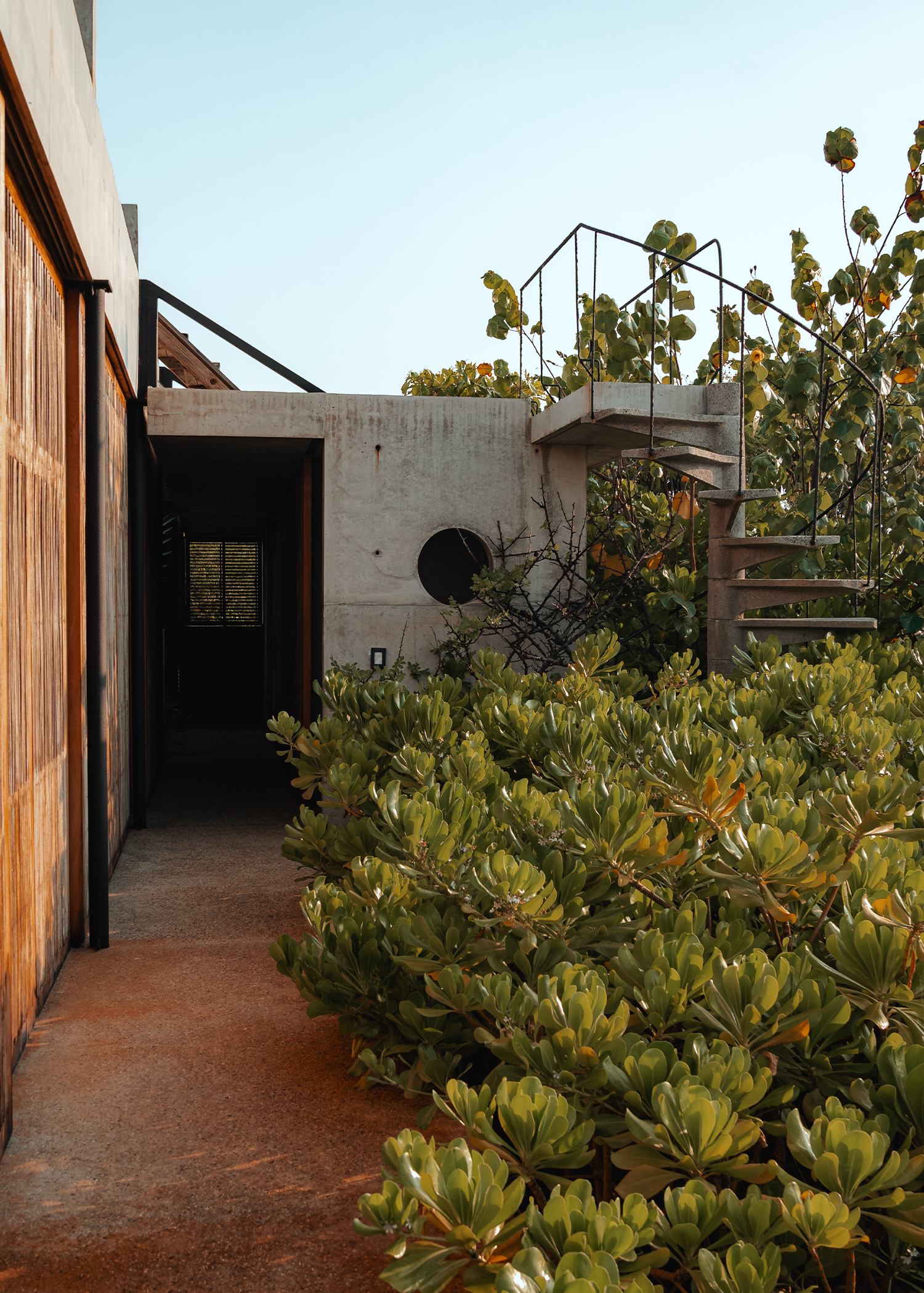 Casa Matilda Web Gallery 4.png