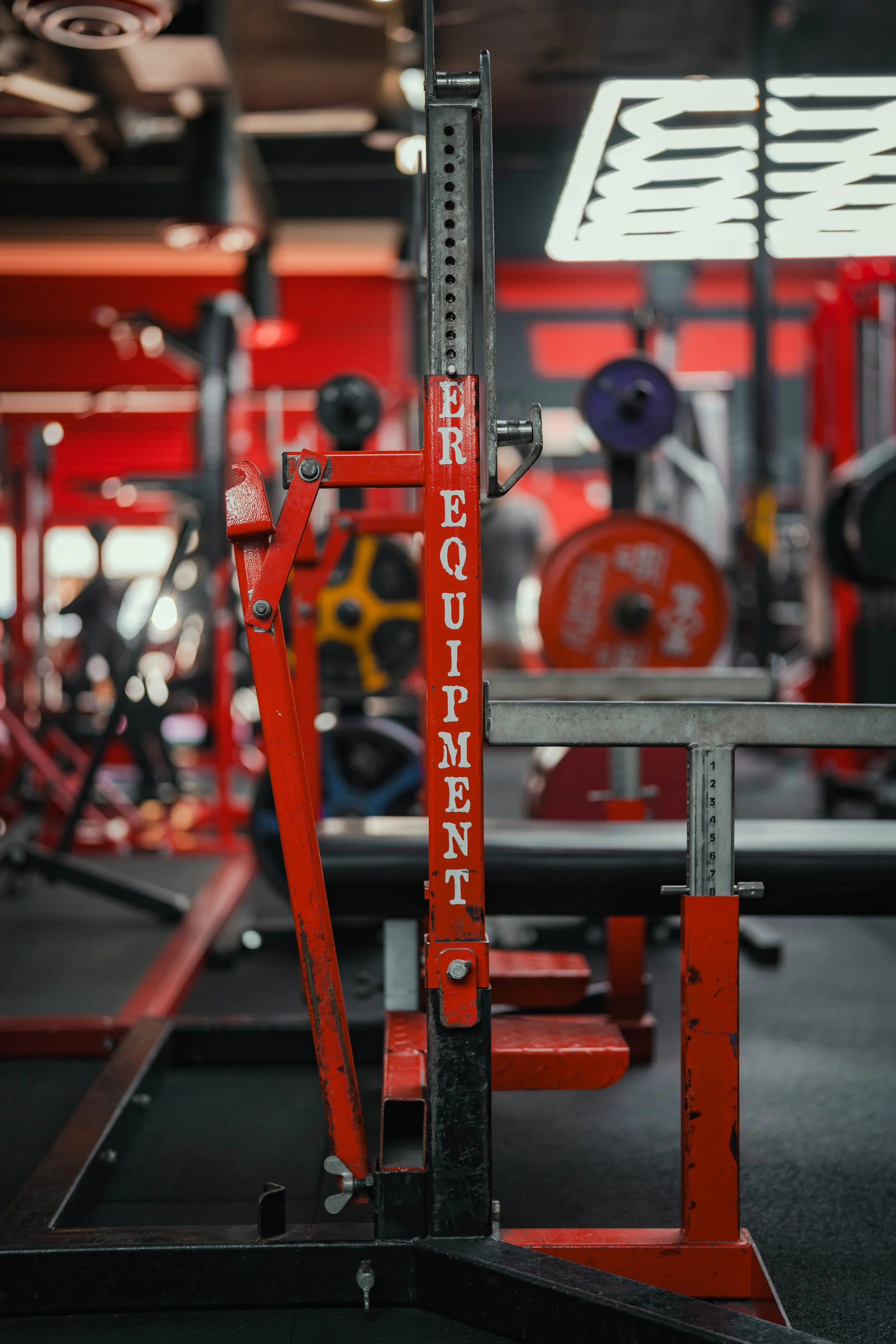 6-26-26_FLEX FITNESS-87.jpg