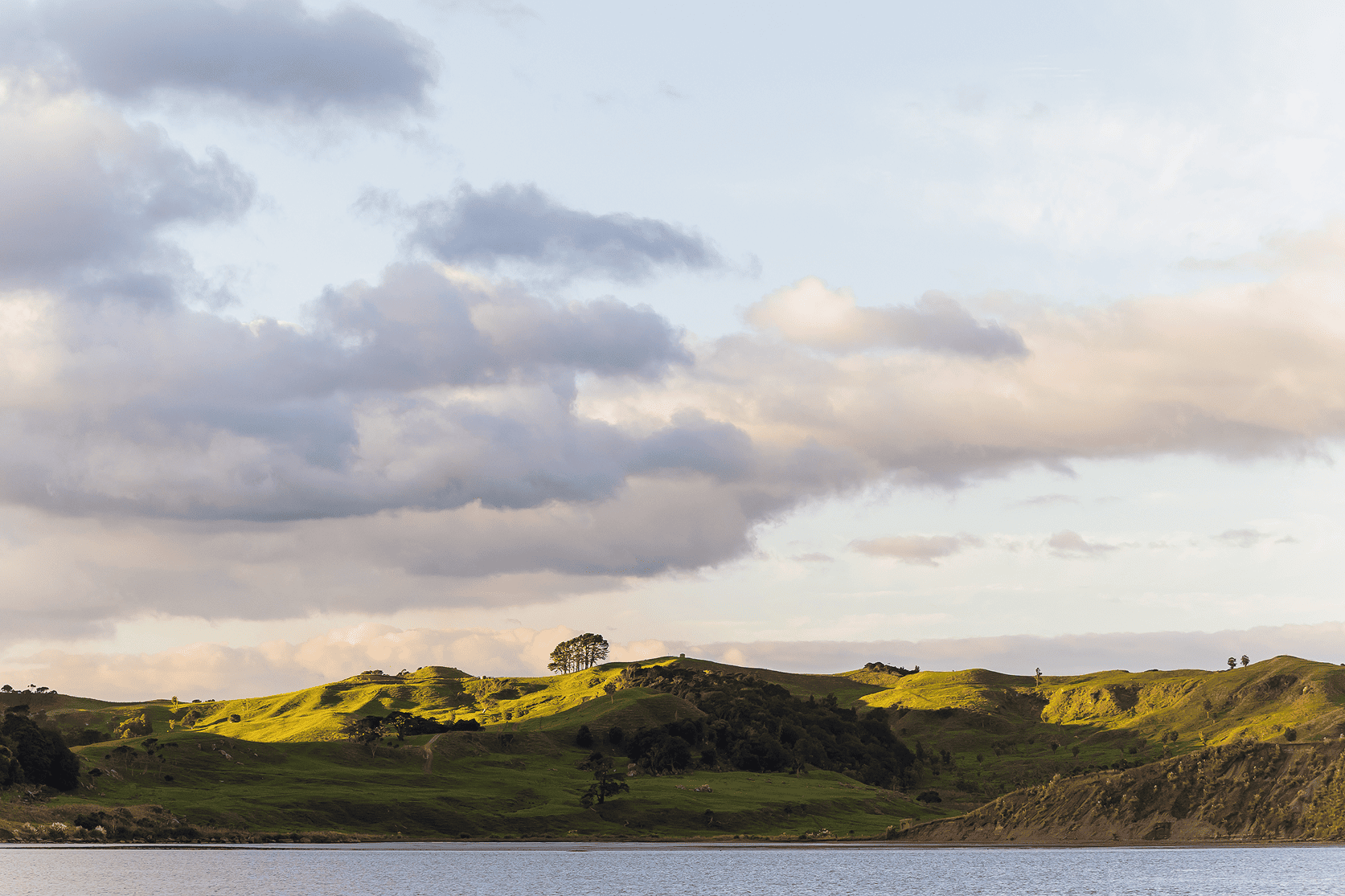 Wallis-Stret-Waikato-Architecto-14.png