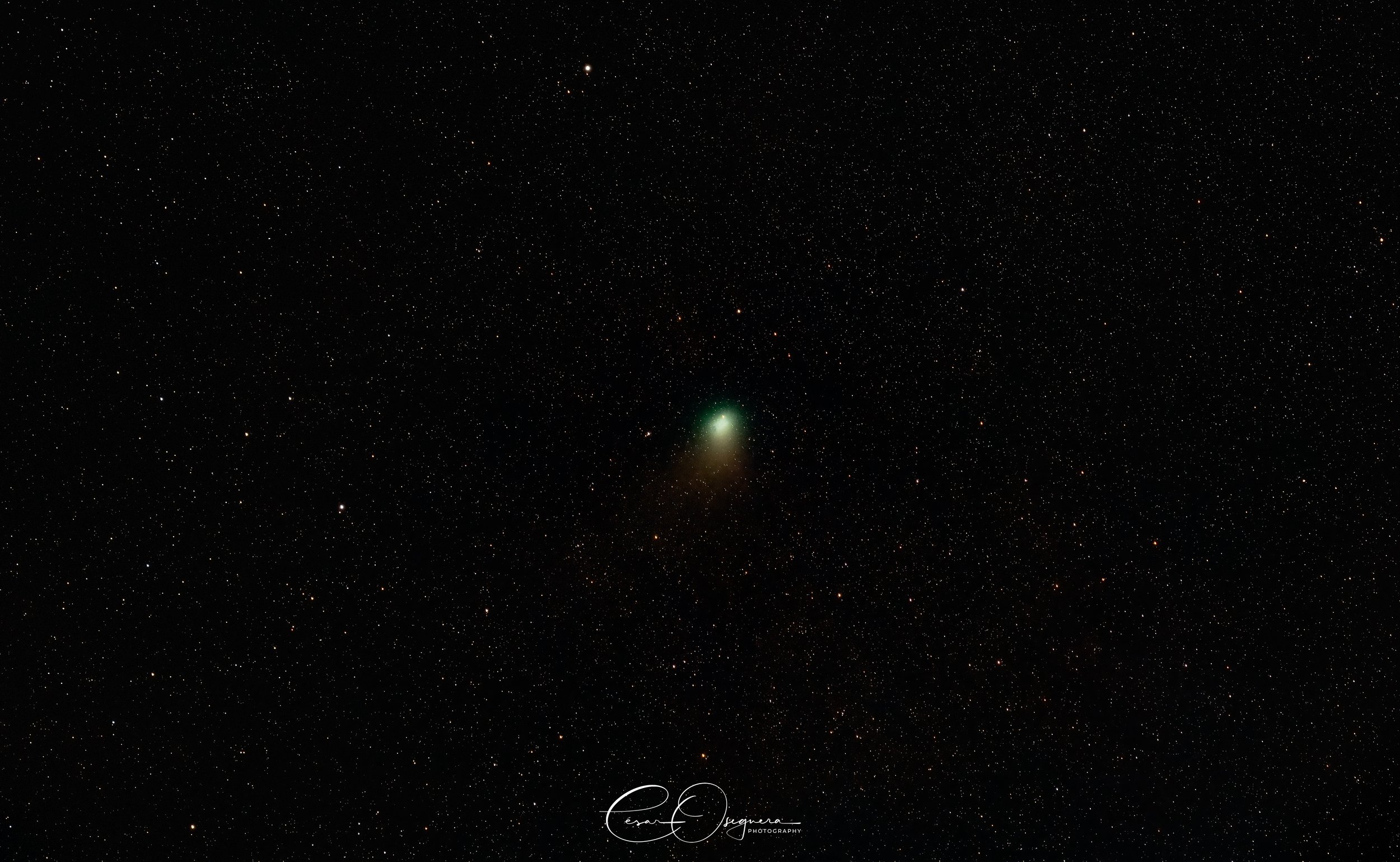 A photograph of a green comet with a bright nucleus and tail, surrounded by numerous stars in space.