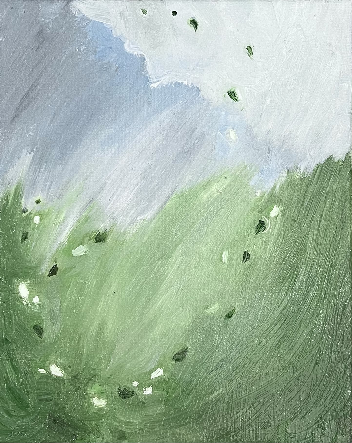 Before the storm.jpg