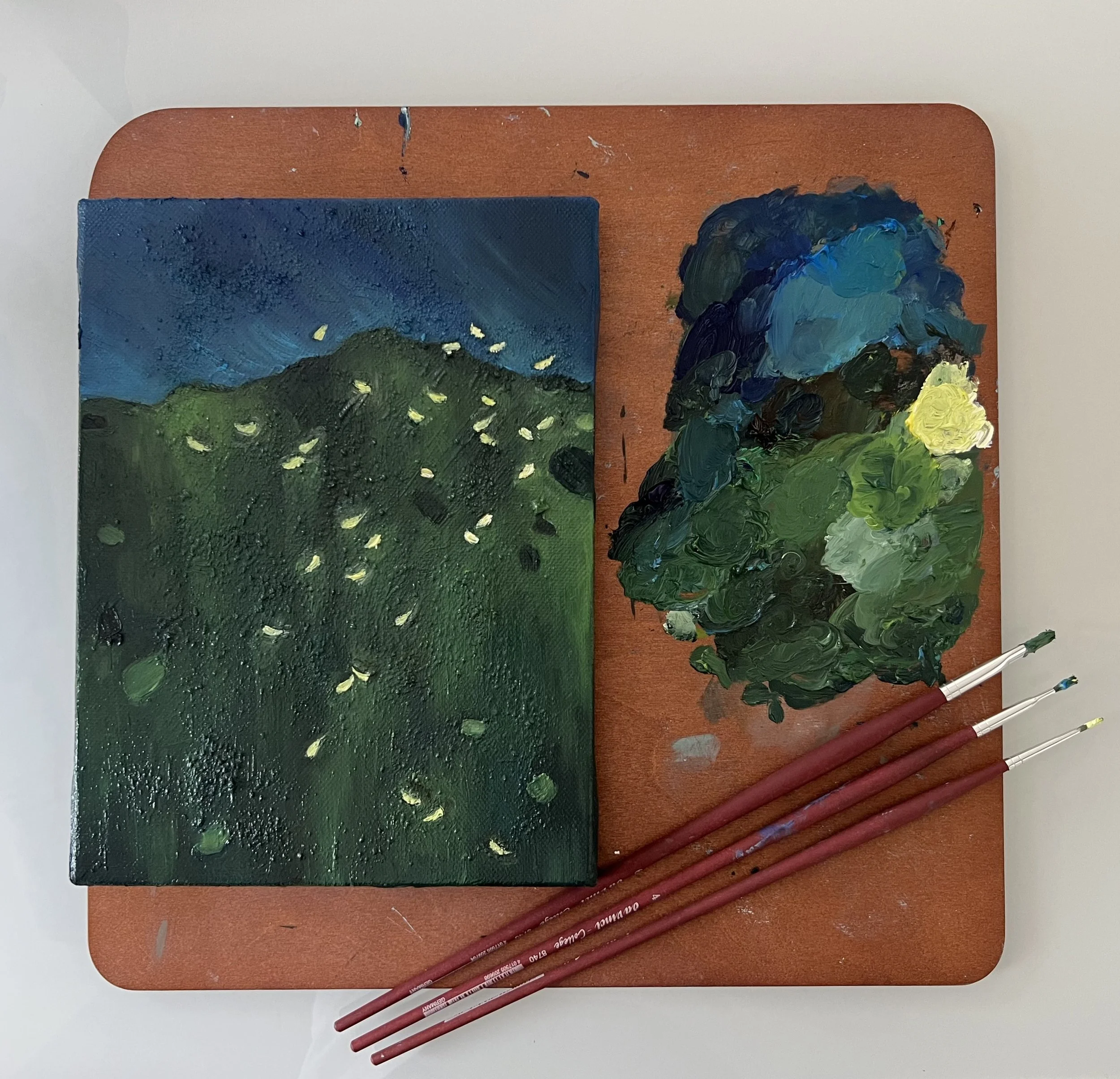 A night full of lightning bugs