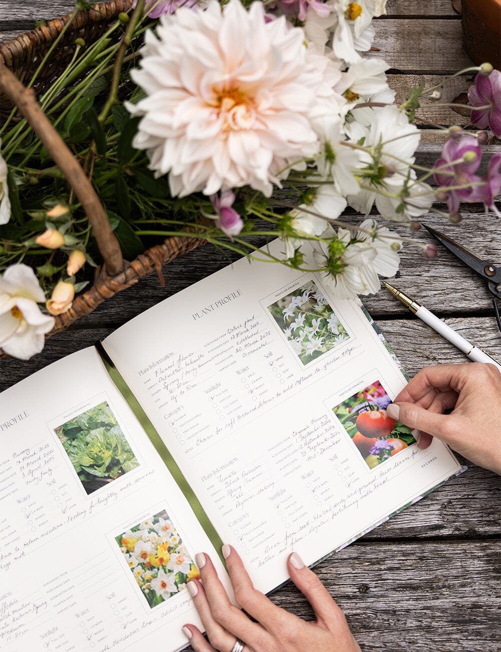 GA01_Gardening-Journal_Hydrangea_Web_15.jpeg