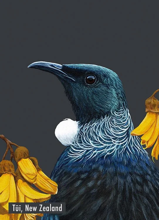 Portrait of a Tui Art Magnet