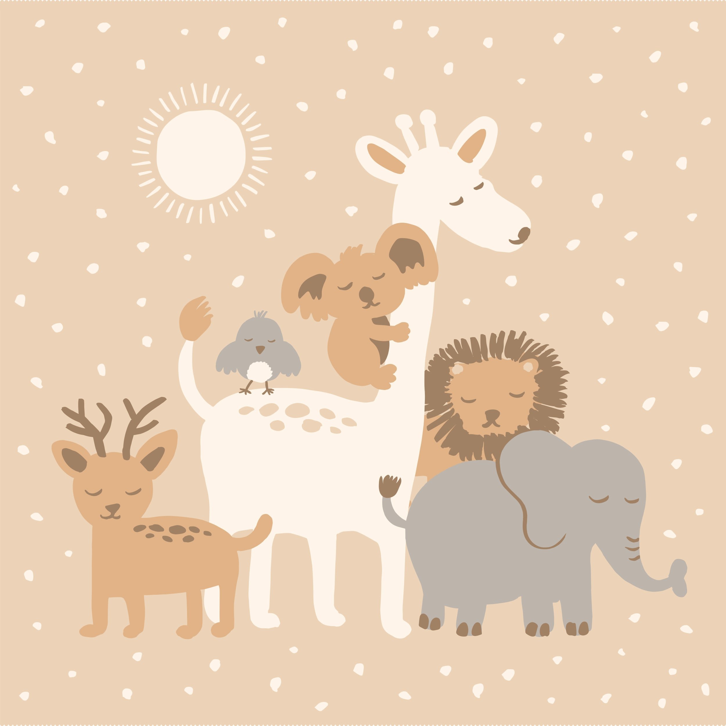 BLA05-WelcomePartyBlanket-flat.jpeg