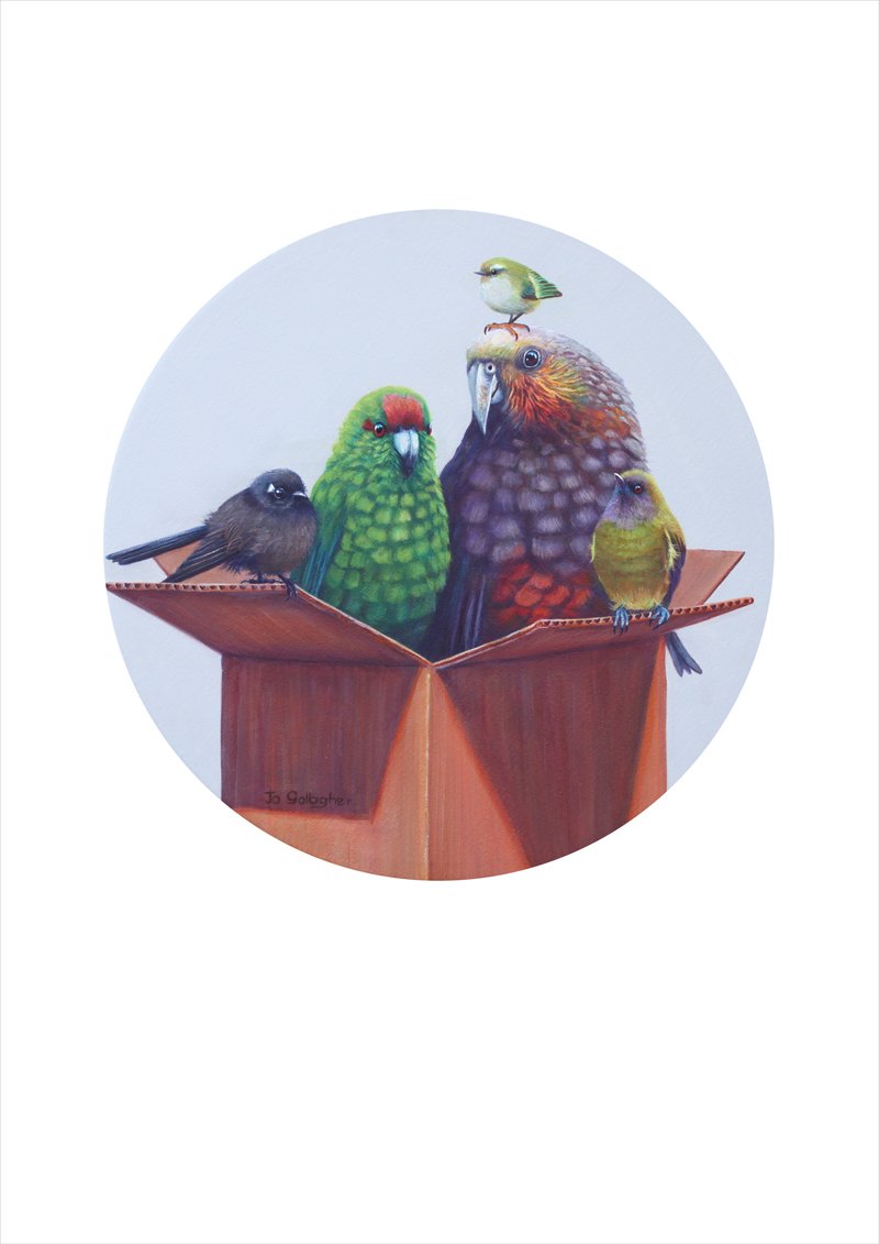 Just-a-Box-of-Birds-print.jpeg