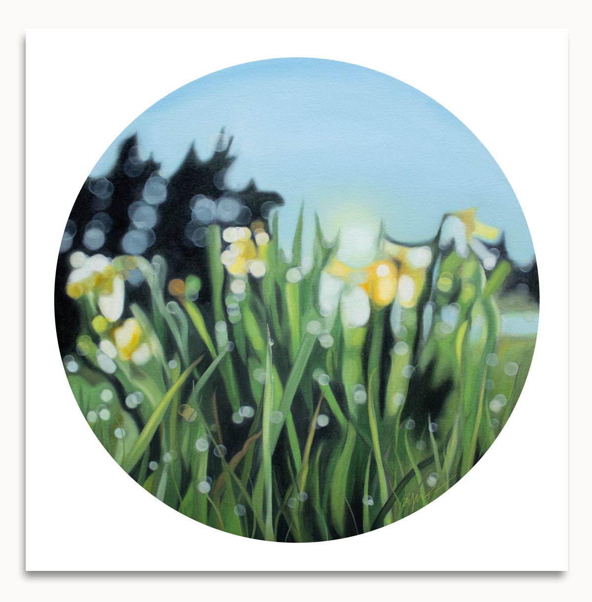 Daffodil-print-bokeh.jpeg
