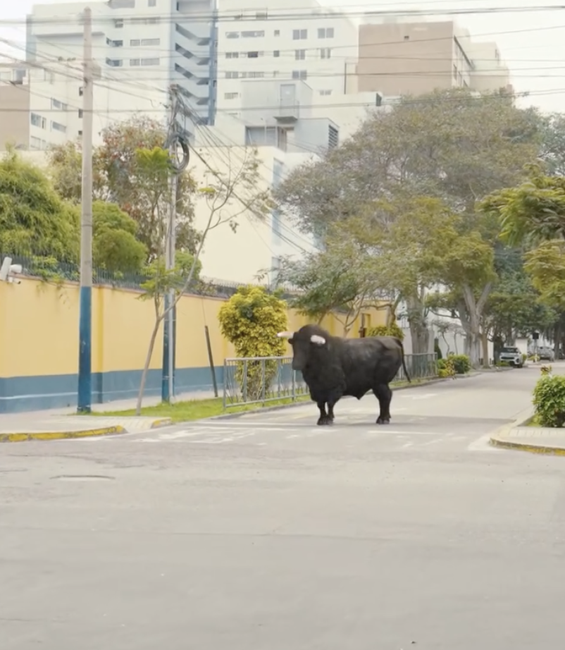 Screenshot 2025-01-07 at 3.42.25 PM.png