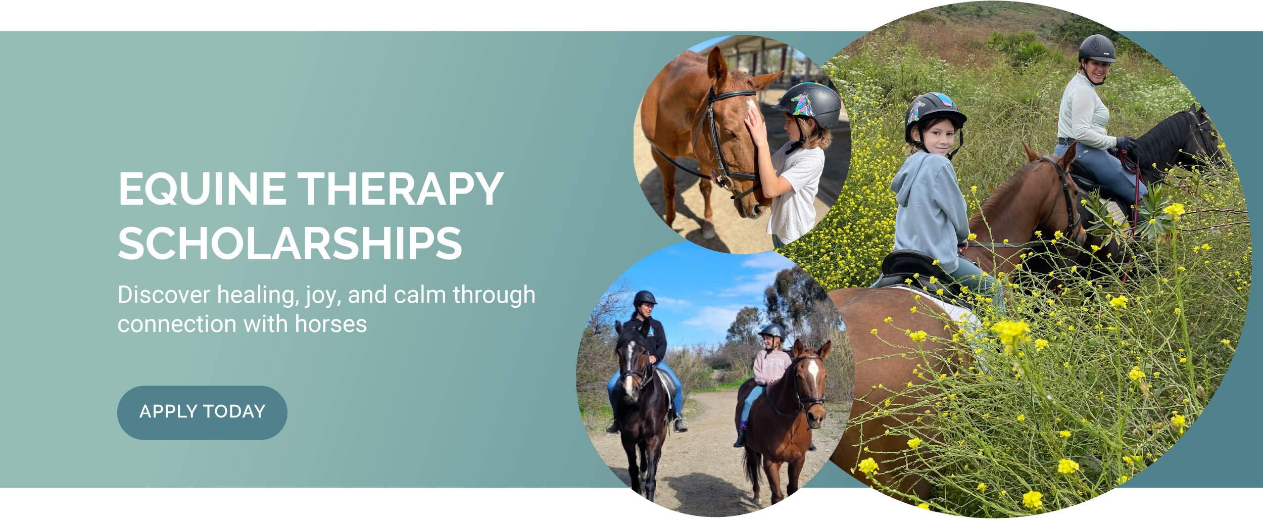 Equine-Therapy-3.jpg