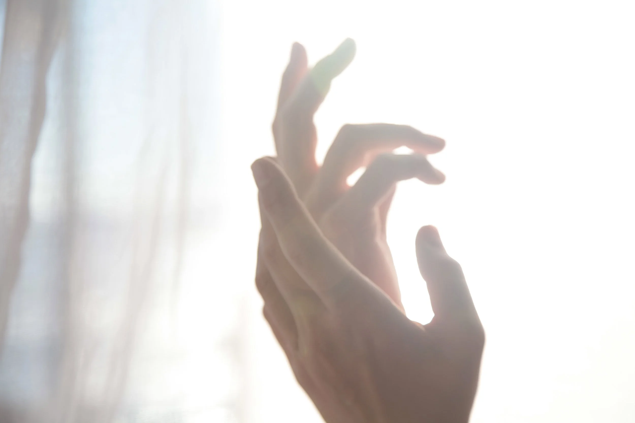 Julie Lynge IMG_9202.jpg