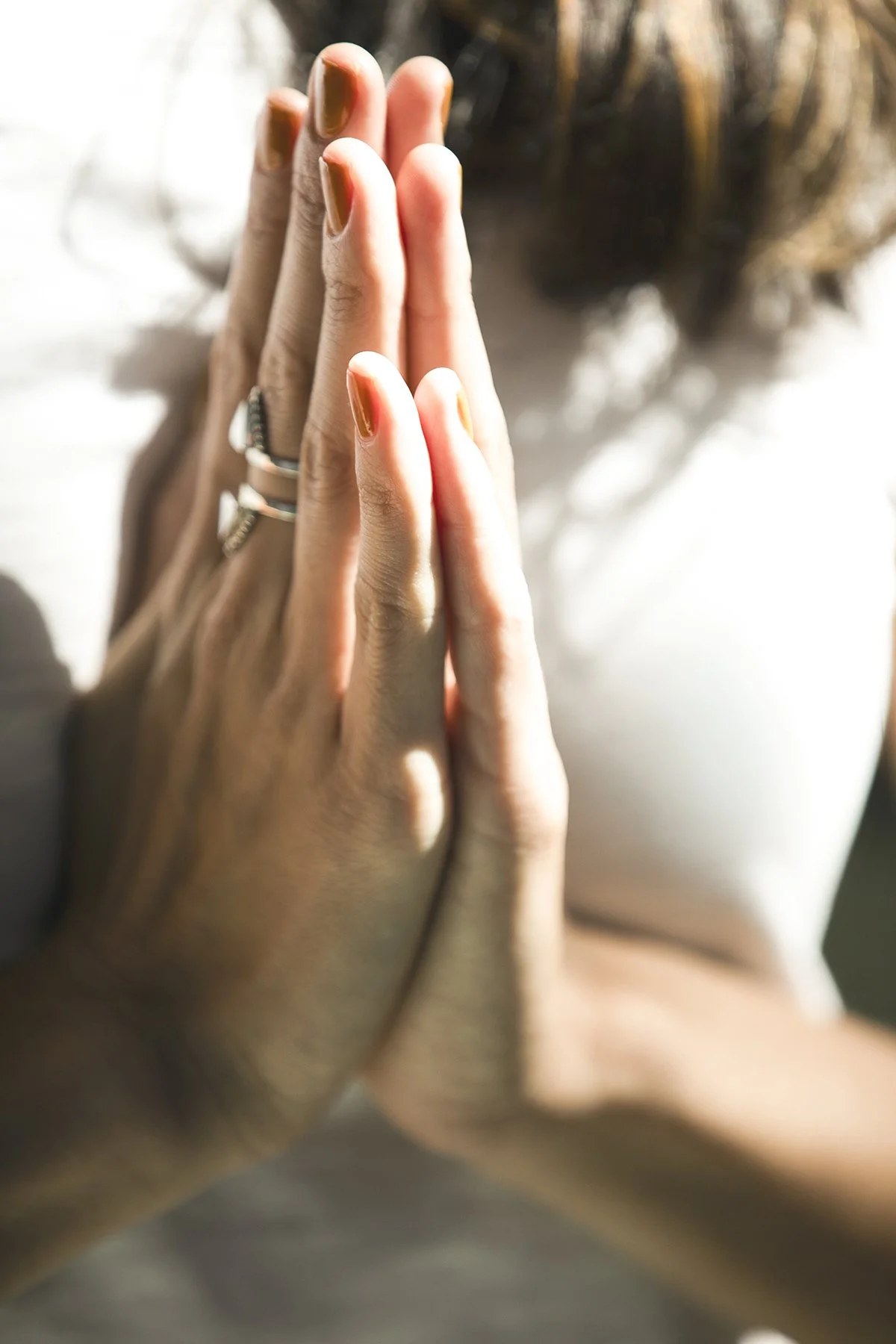 chelsea B81A0632.jpg