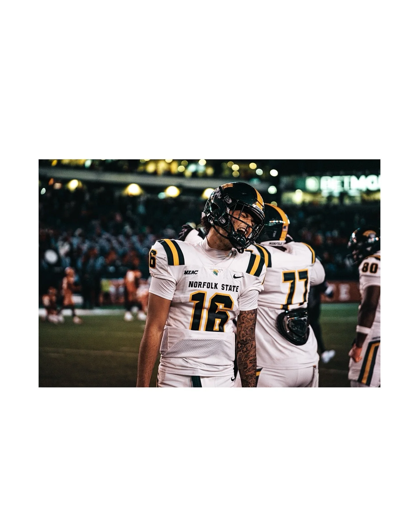 POV: Green and Gold🔰🏈

#eaglestadium #norfolkstateuniversity #femalephotographer #HBCU #mikevick
#greenandgold