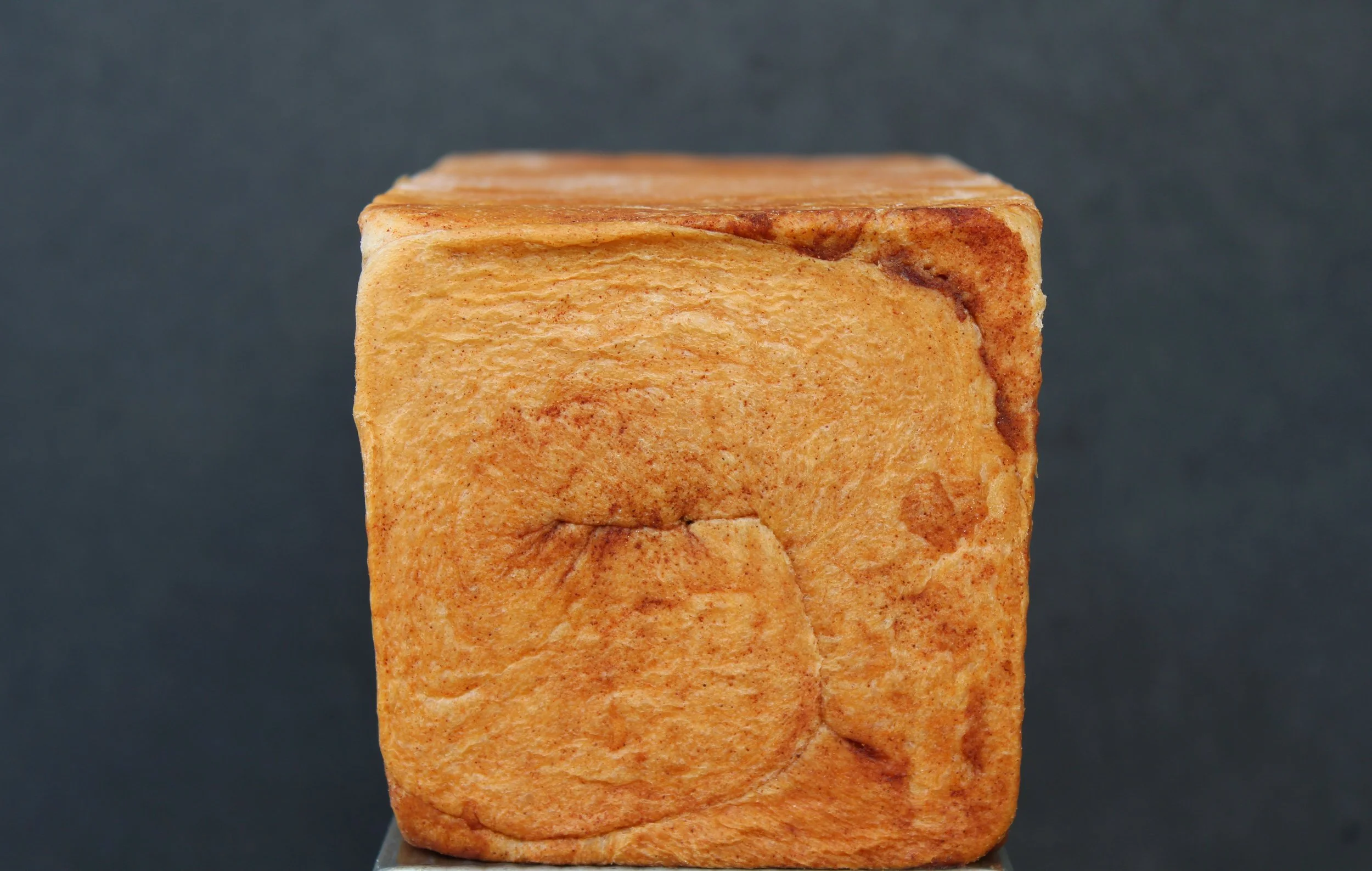 Cinnamon Swirl Side Profile.JPG
