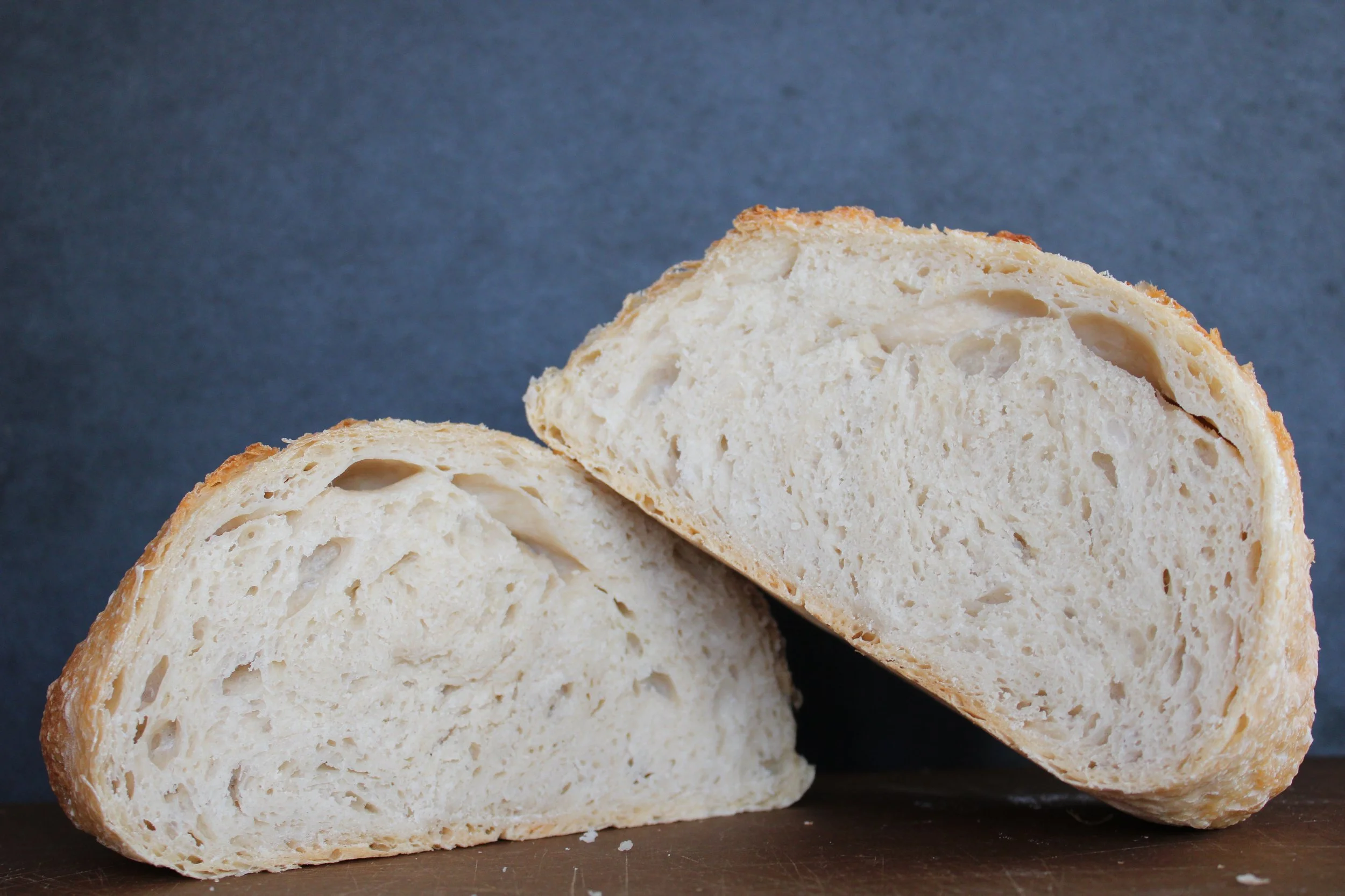 jc penney ass rustic photo.JPG